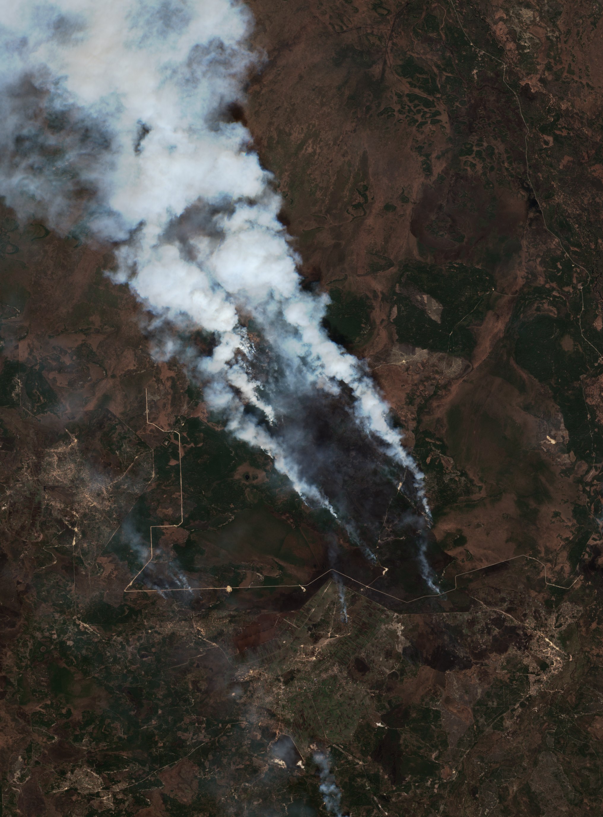 The burned area in 2019-ben