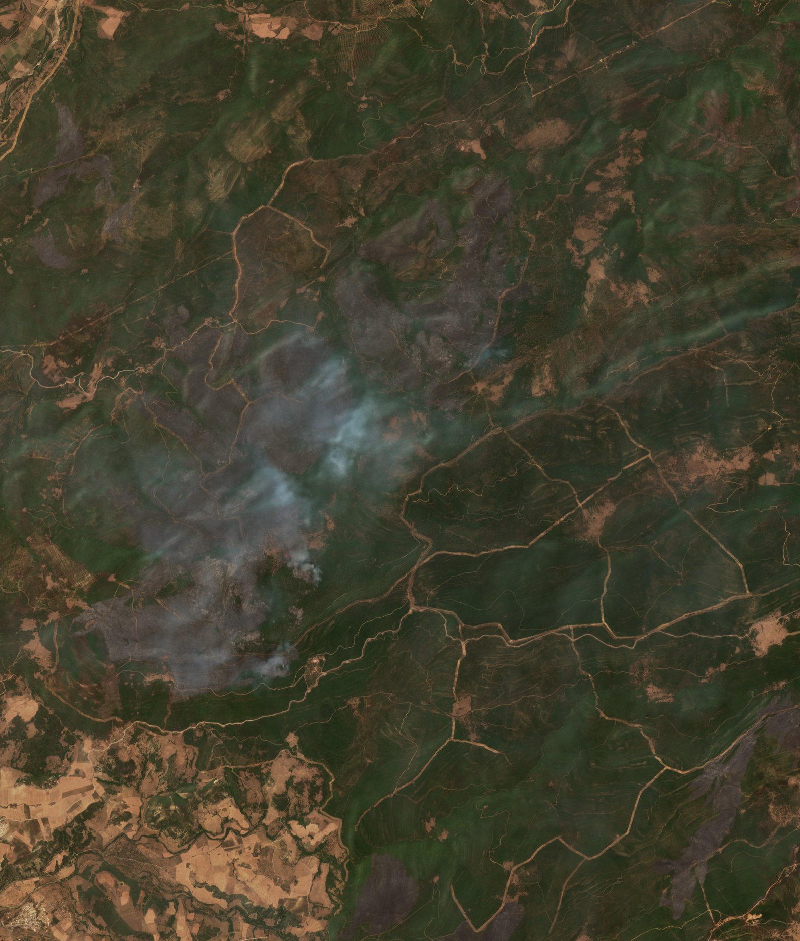 The burned area in 2017-ben
