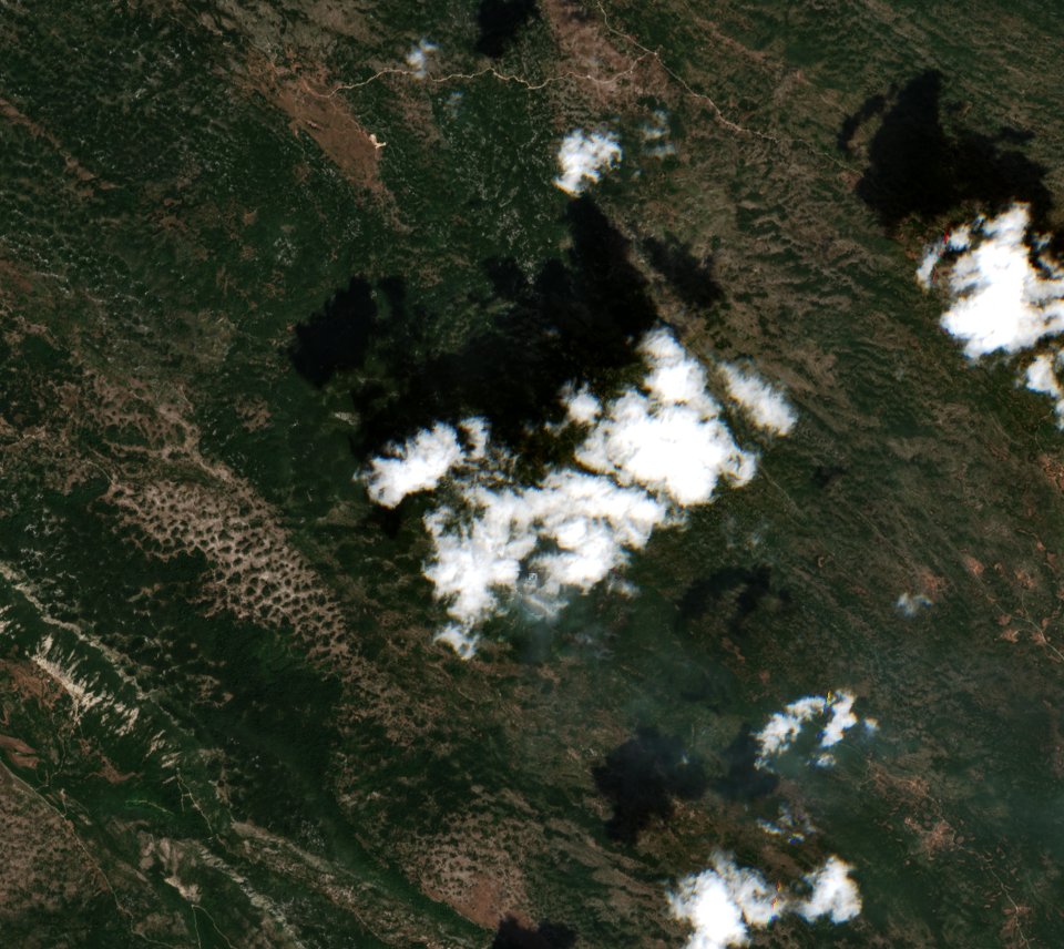 The burned area in 2017-ben