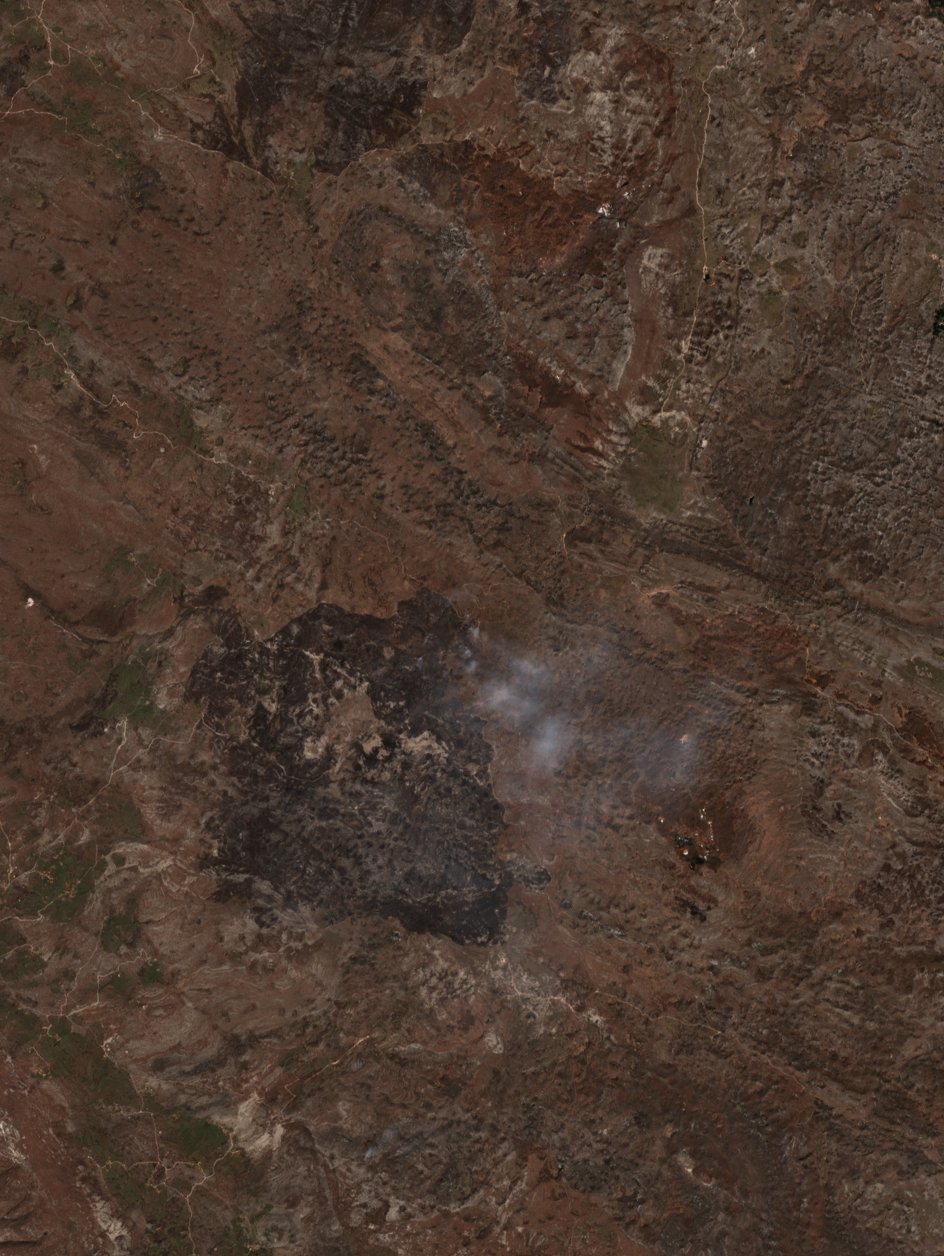 The burned area in 2019-ben
