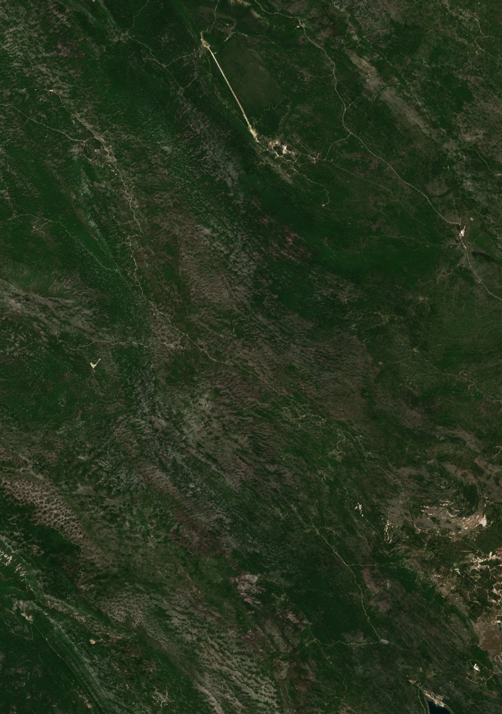 The burned area in 2022-ben