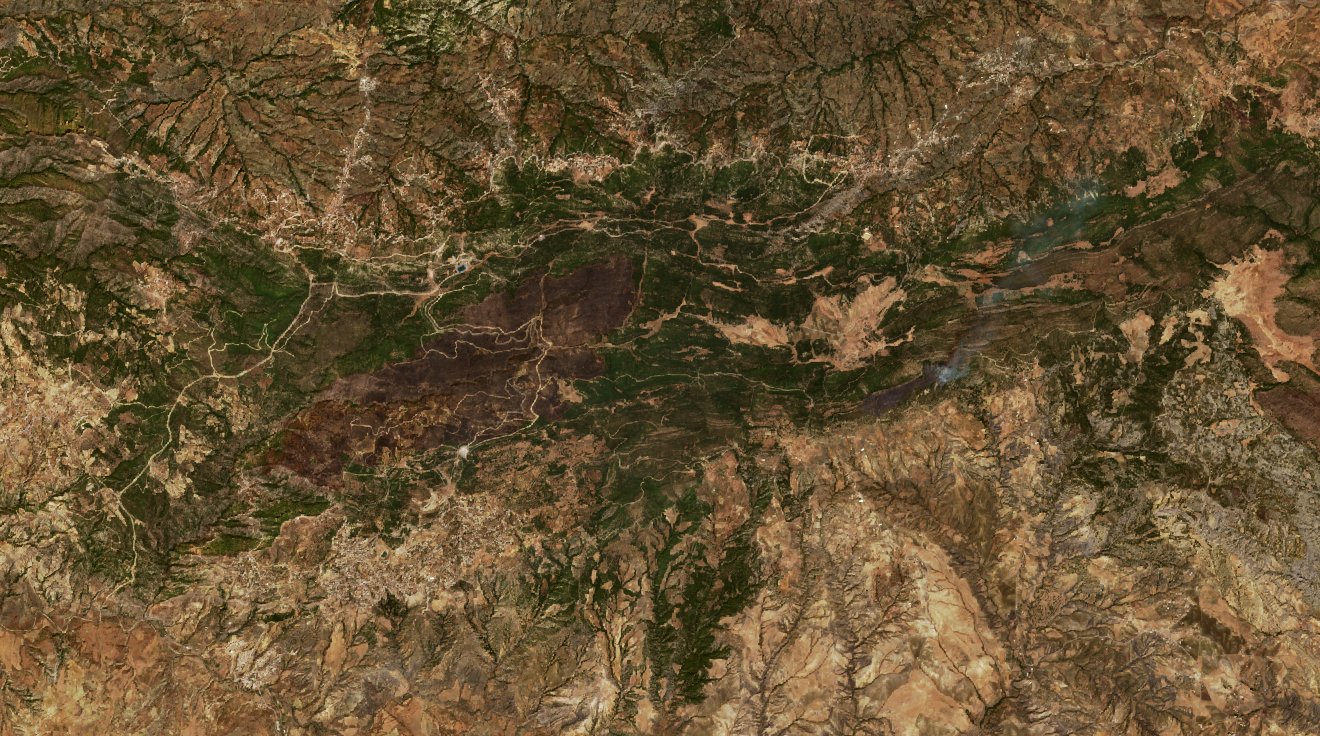 The burned area in 2020-ben