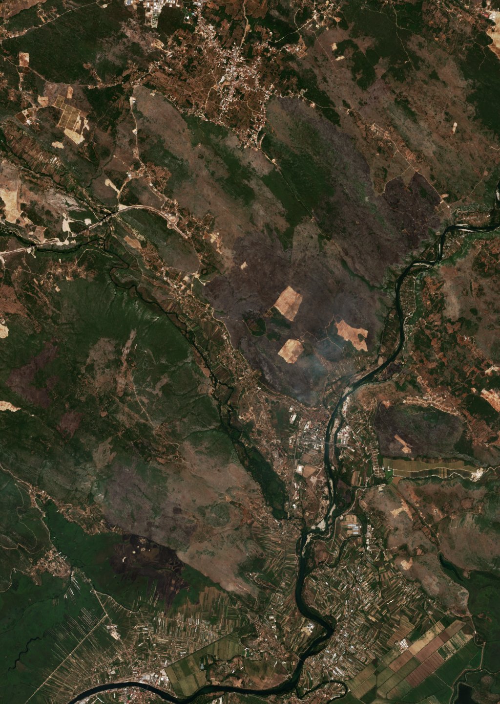 The burned area in 2017-ben