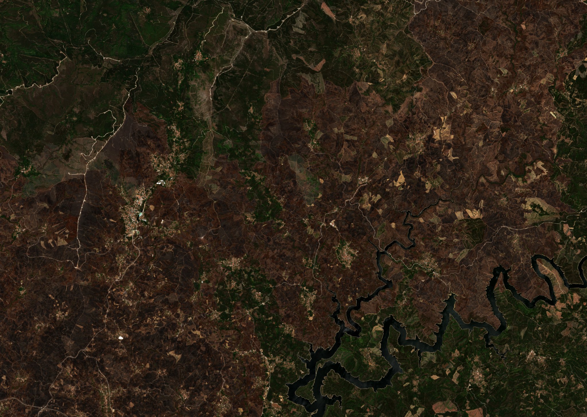 The burned area in 2017-ben