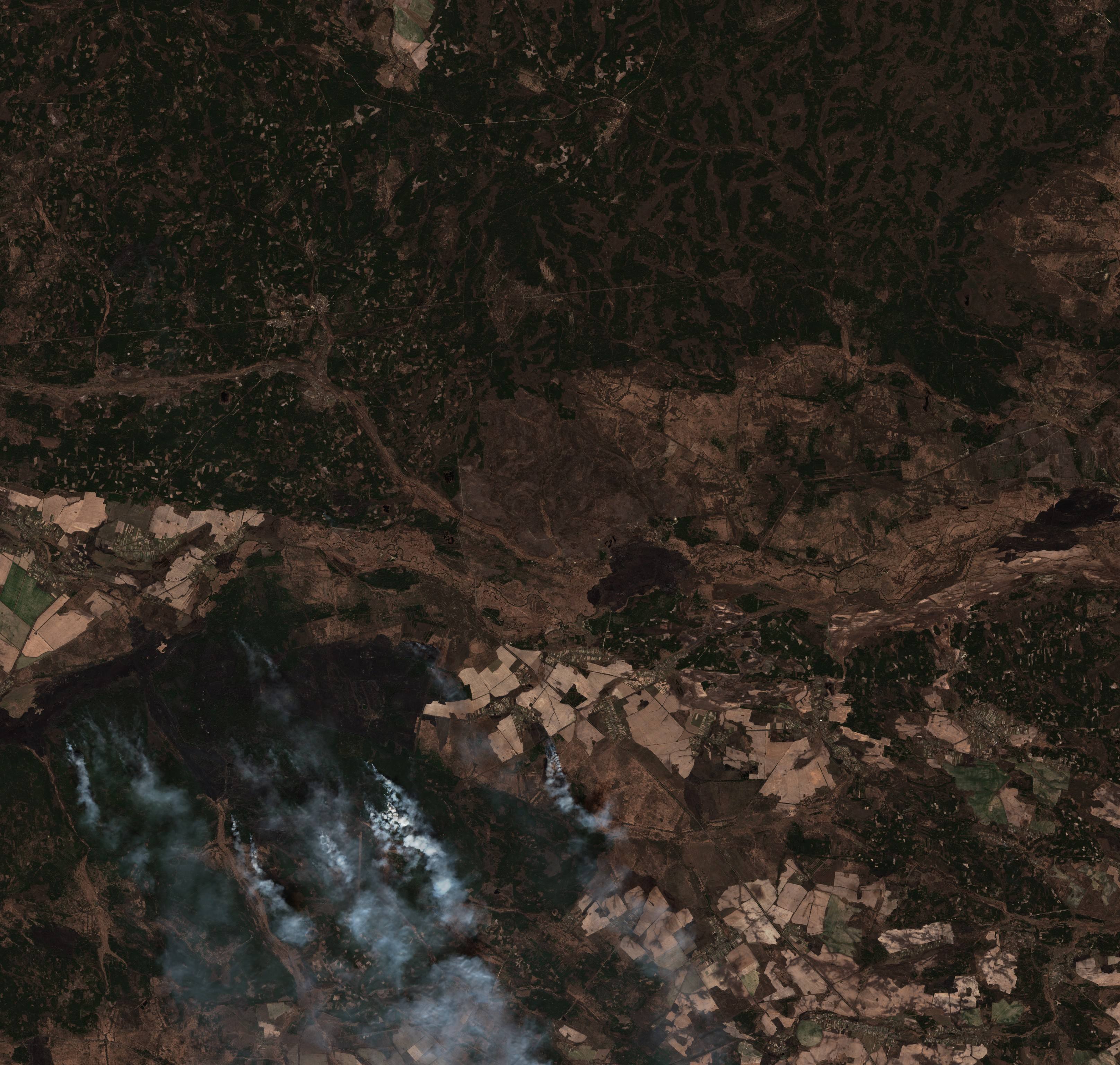 The burned area in 2020-ben
