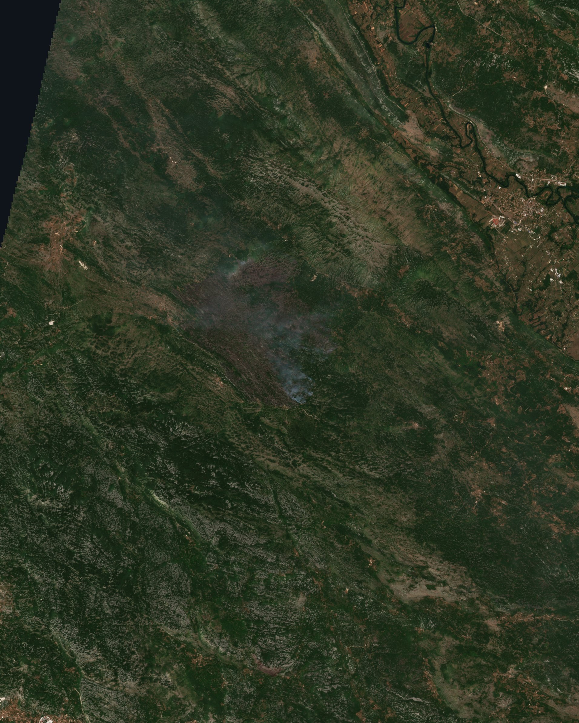 The burned area in 2017-ben