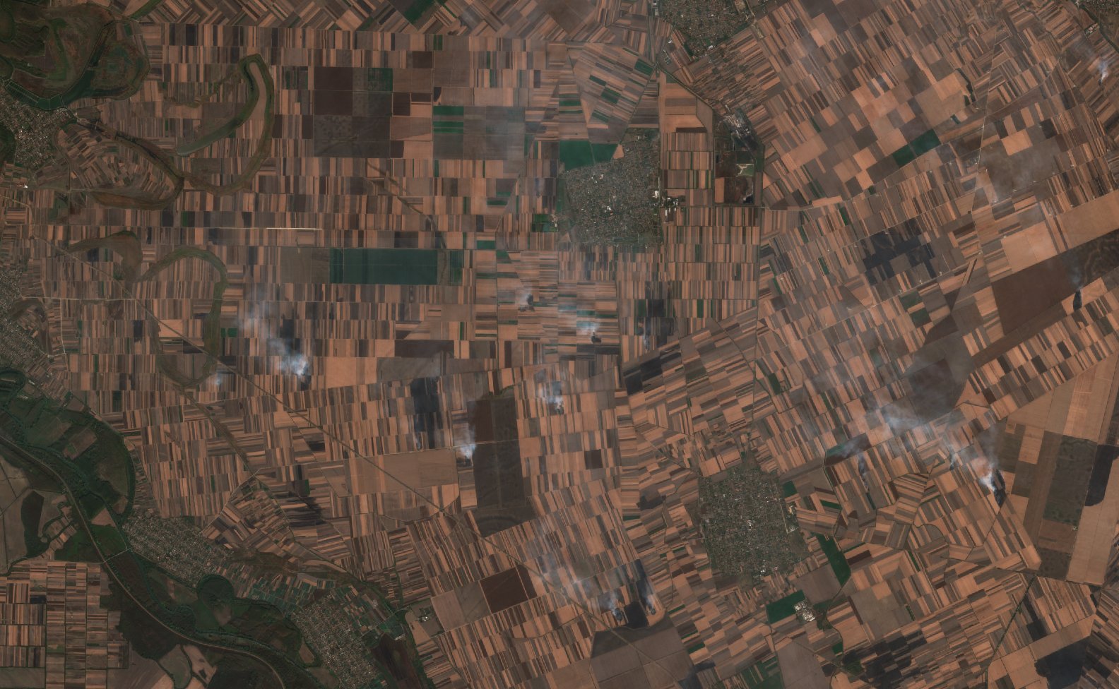 The burned area in 2019-ben