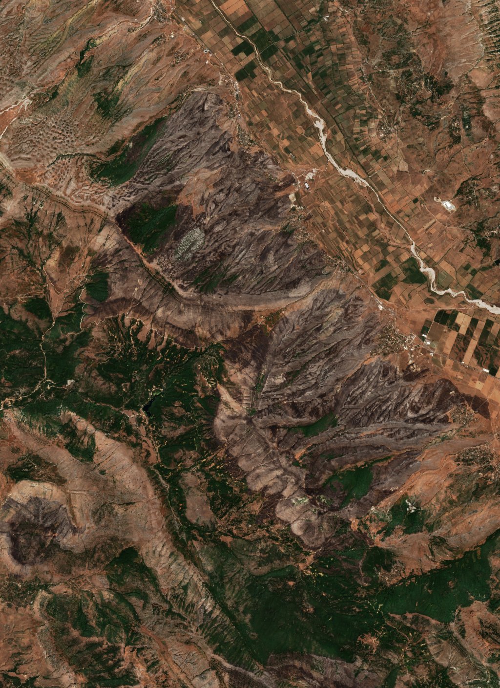 The burned area in 2017-ben