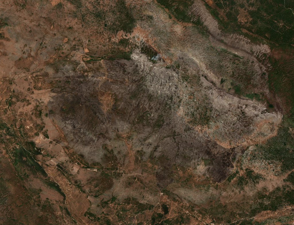 The burned area in 2017-ben