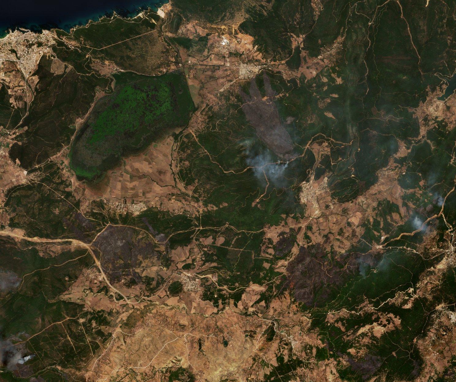 The burned area in 2017-ben