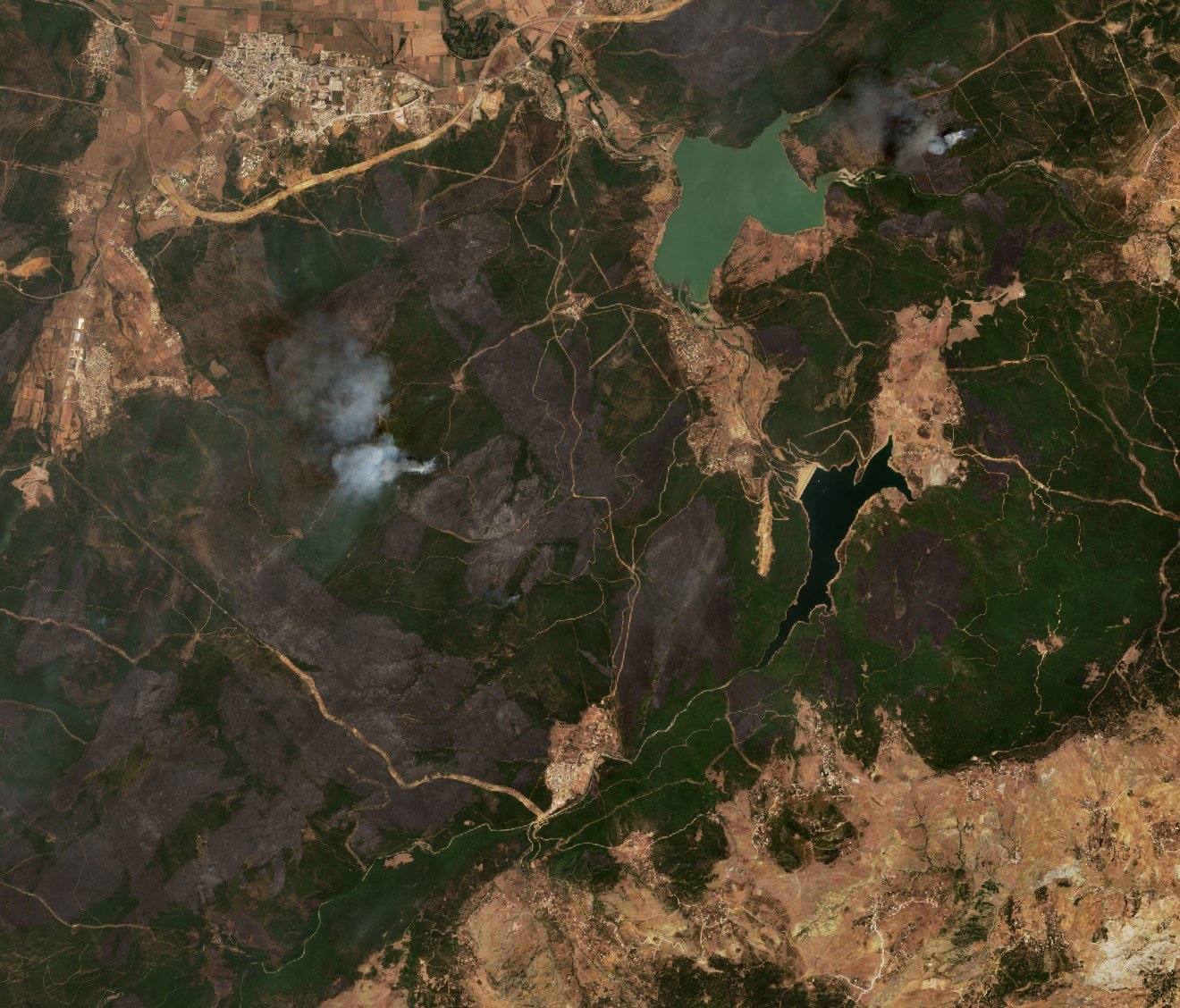 The burned area in 2017-ben
