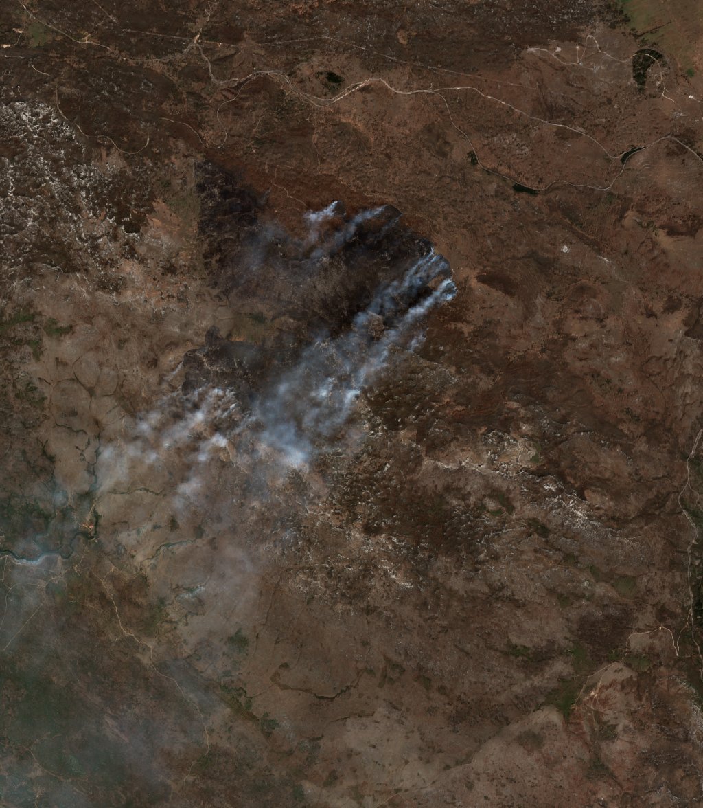 The burned area in 2020-ben