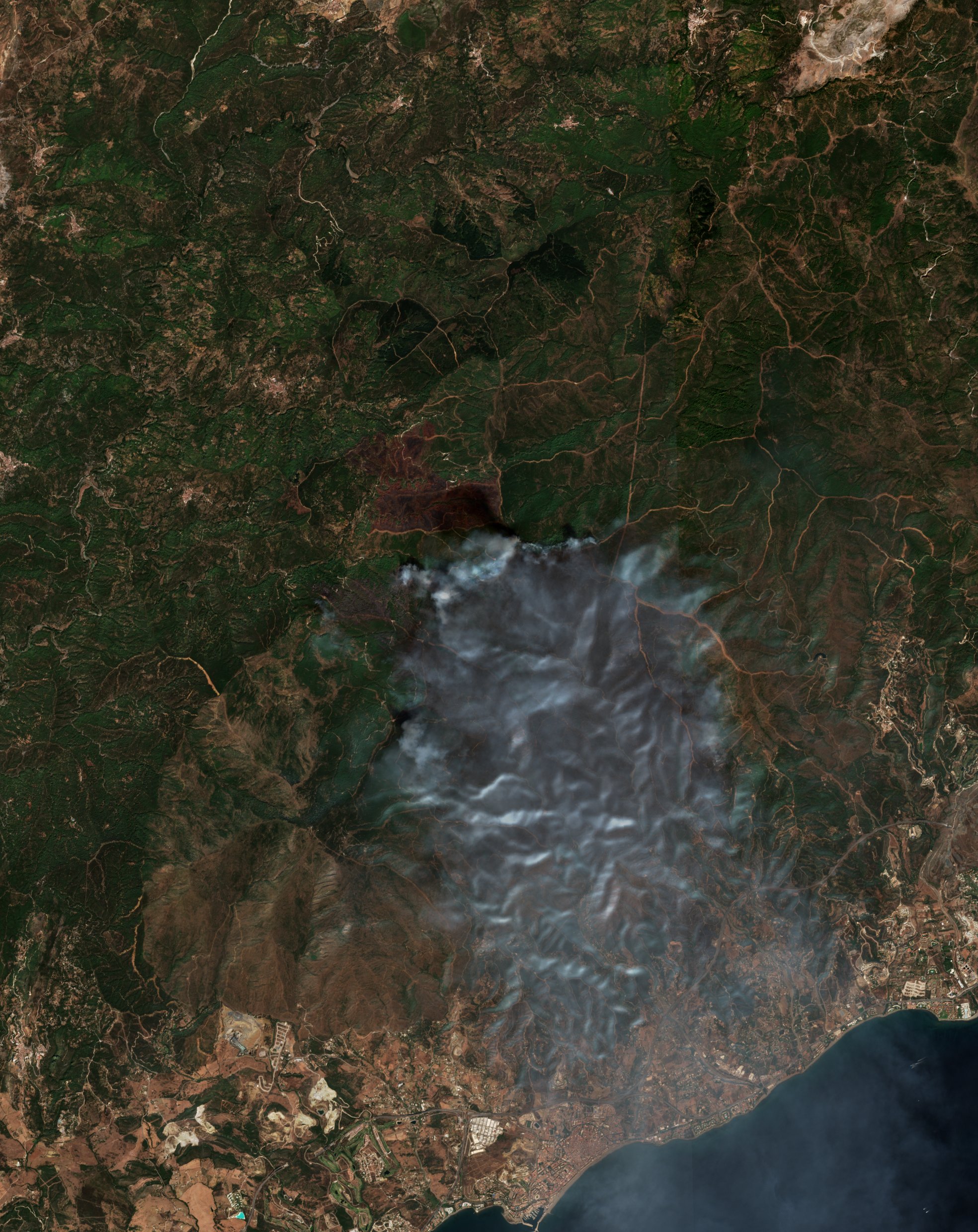 The burned area in 2021-ben