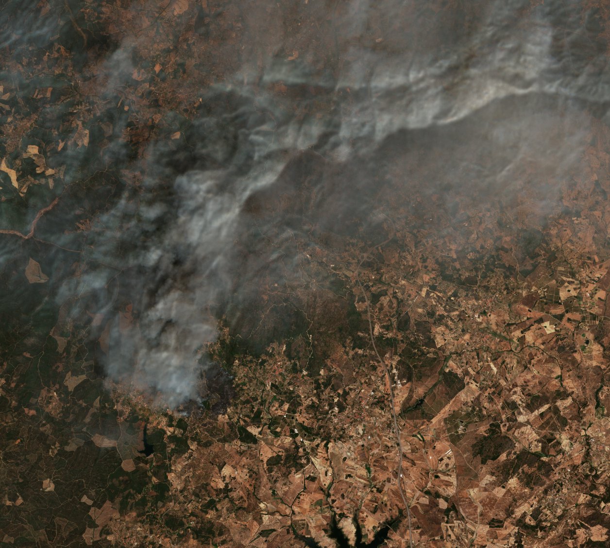 The burned area in 2017-ben