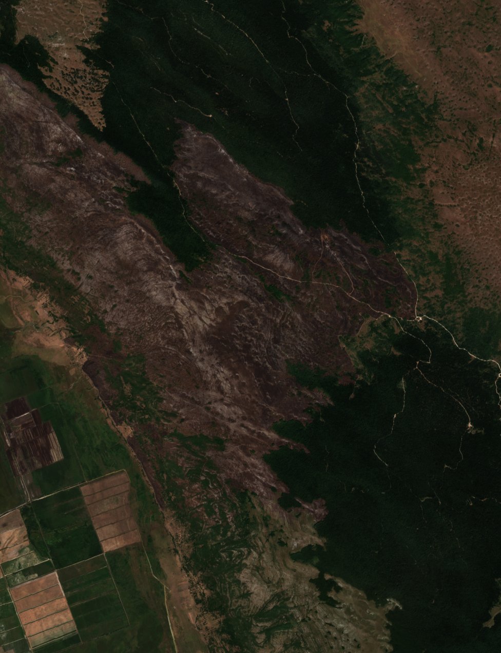 The burned area in 2017-ben