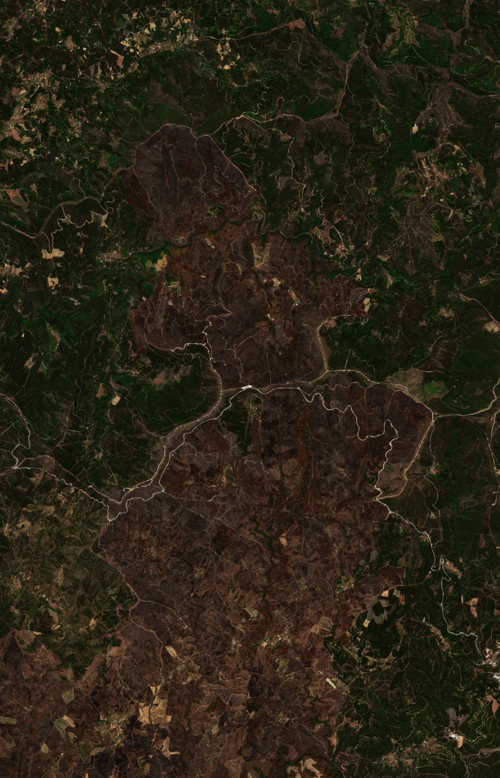 The burned area in 2017-ben