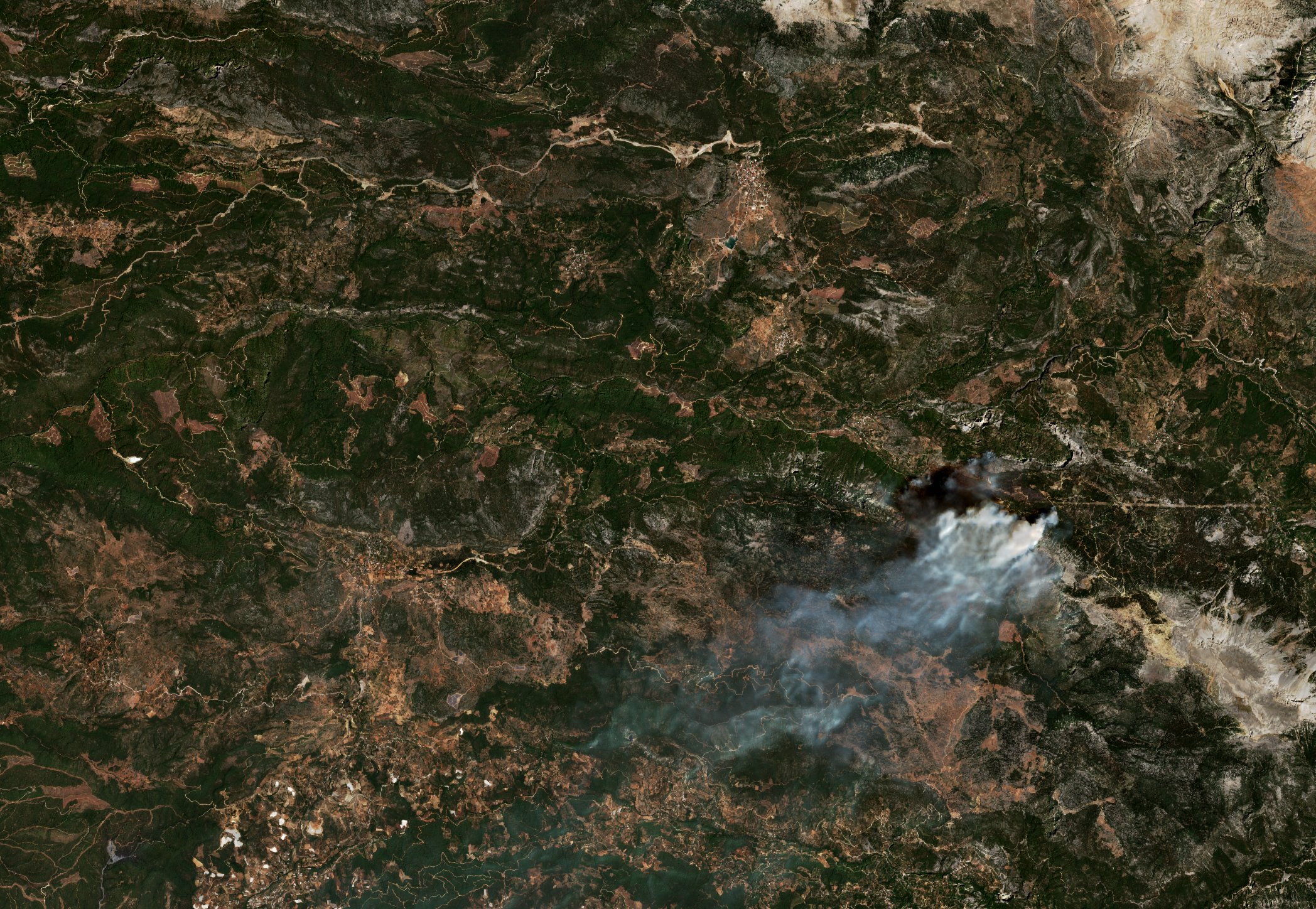 The burned area in 2021-ben