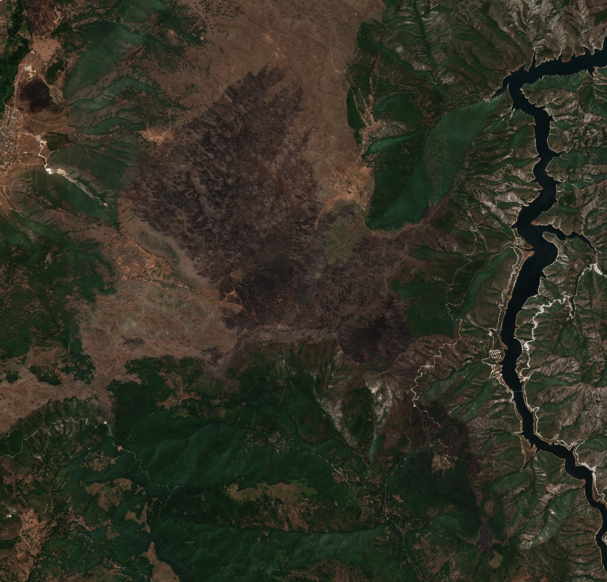 The burned area in 2017-ben