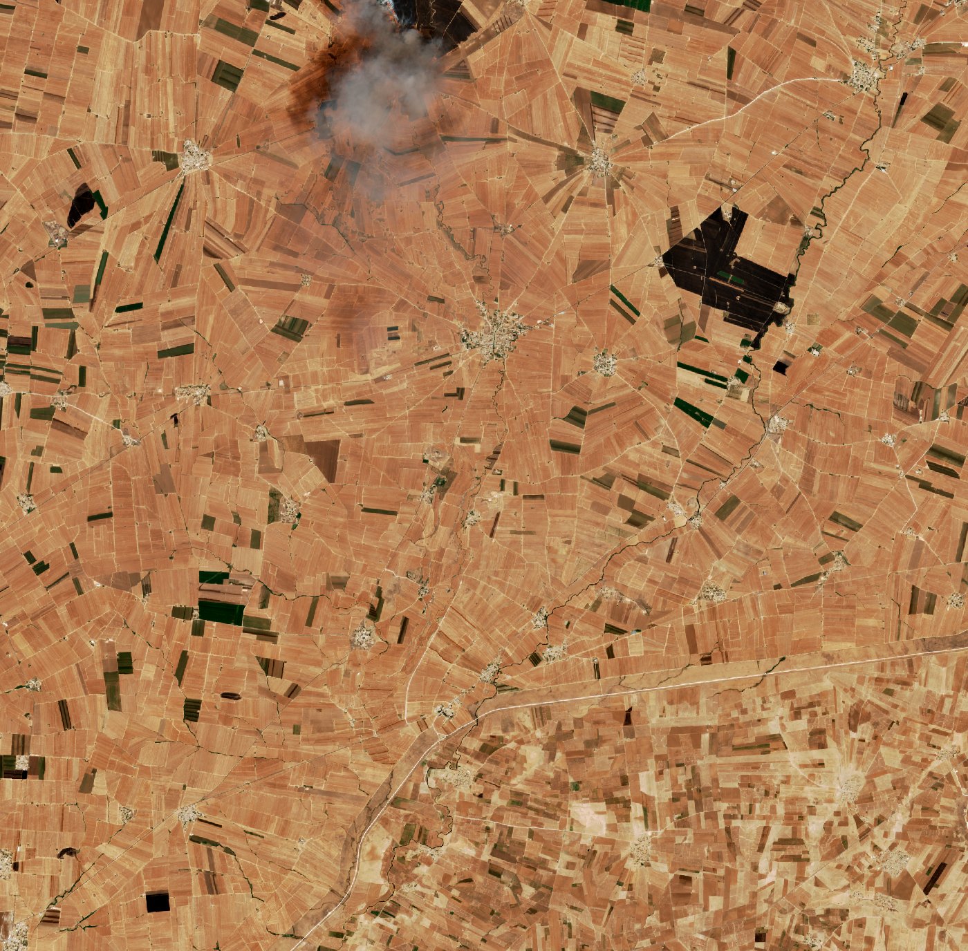 The burned area in 2017-ben