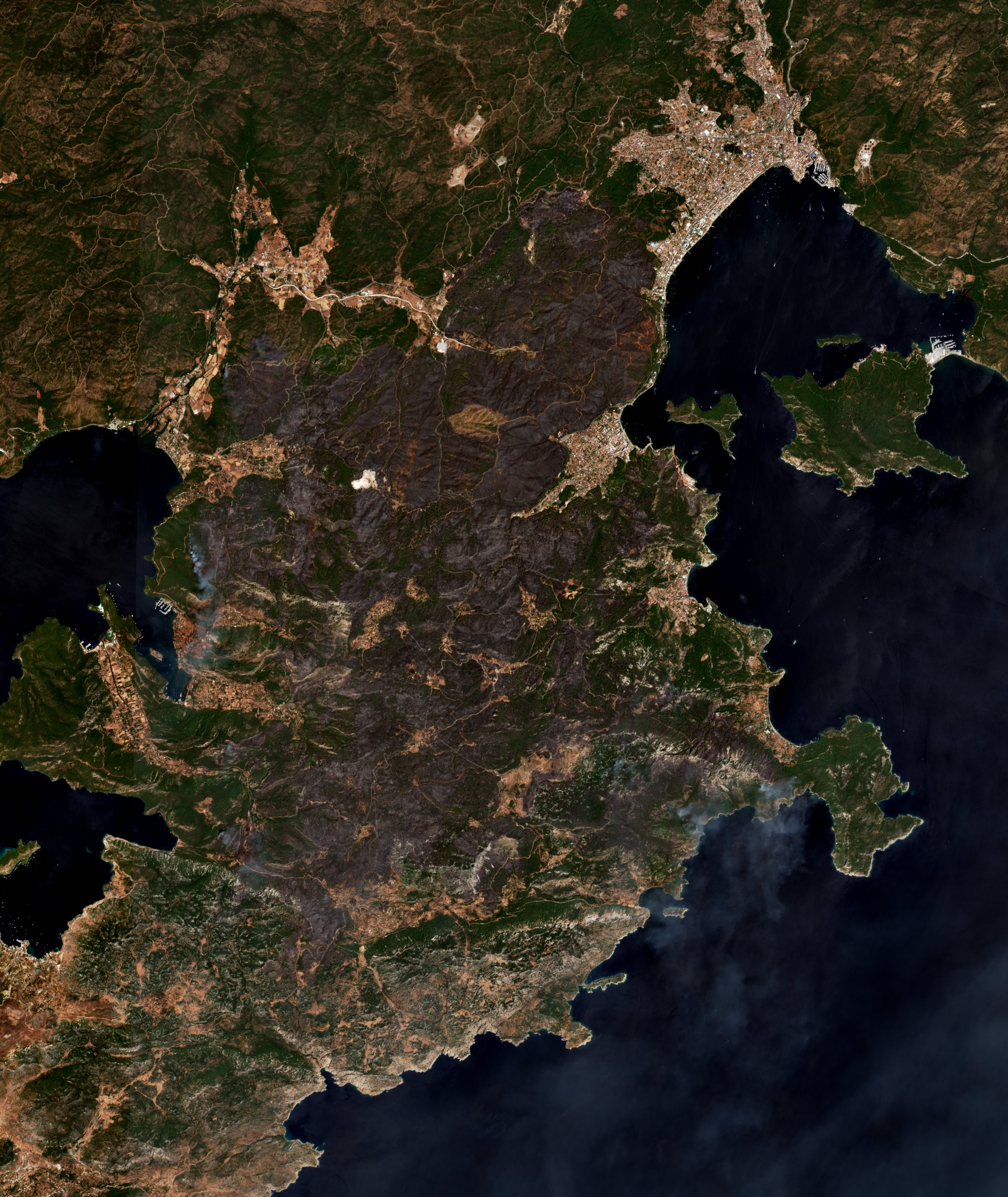 The burned area in 2021-ben