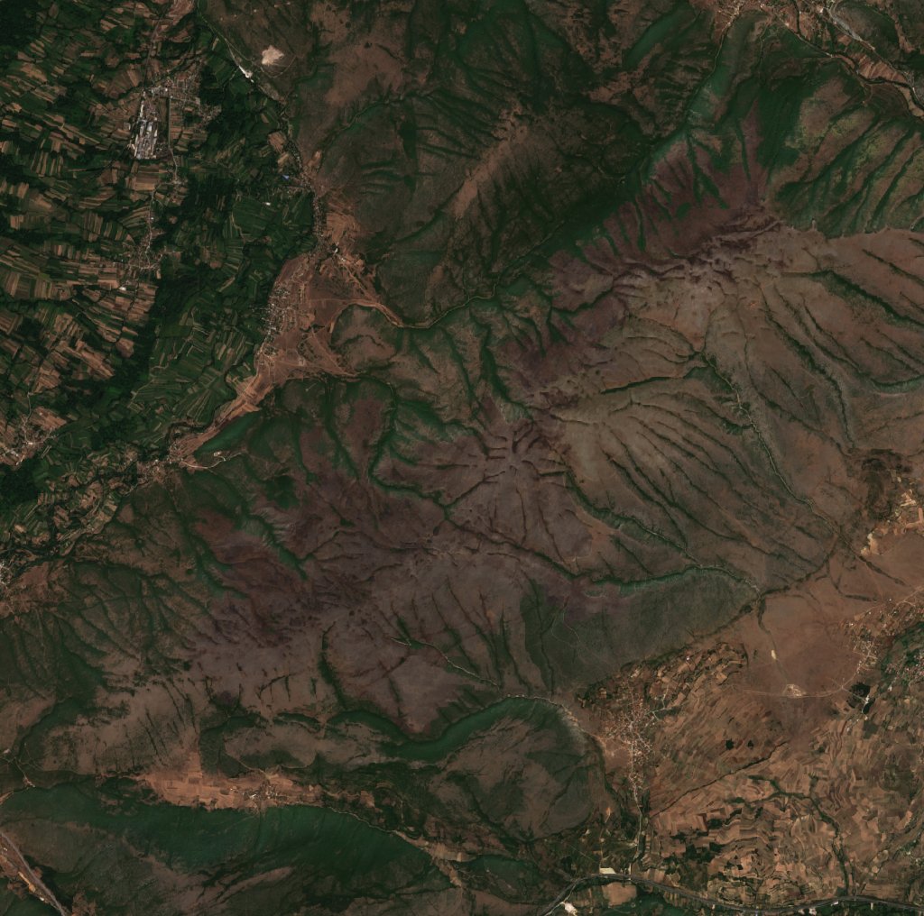 The burned area in 2017-ben