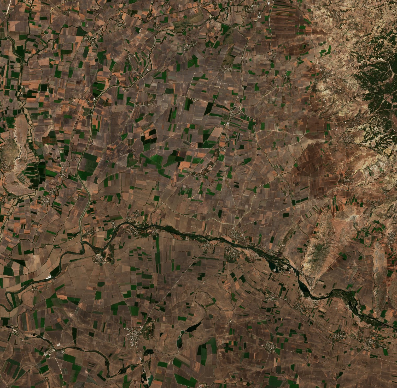 The burned area in 2018-ben
