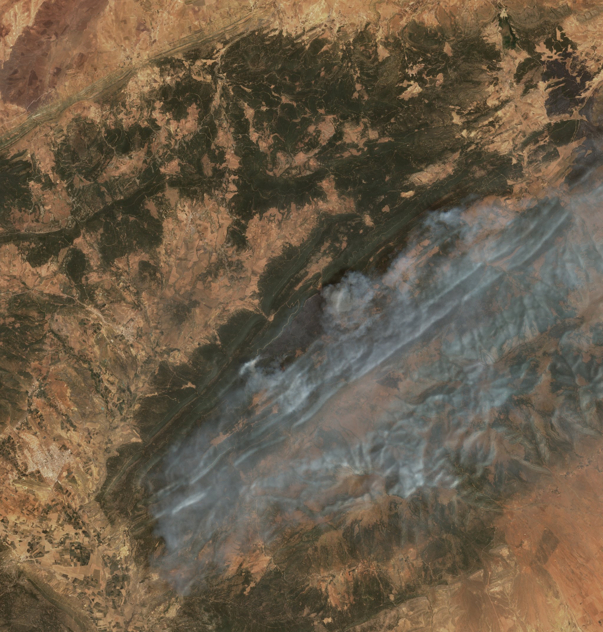The burned area in 2021-ben