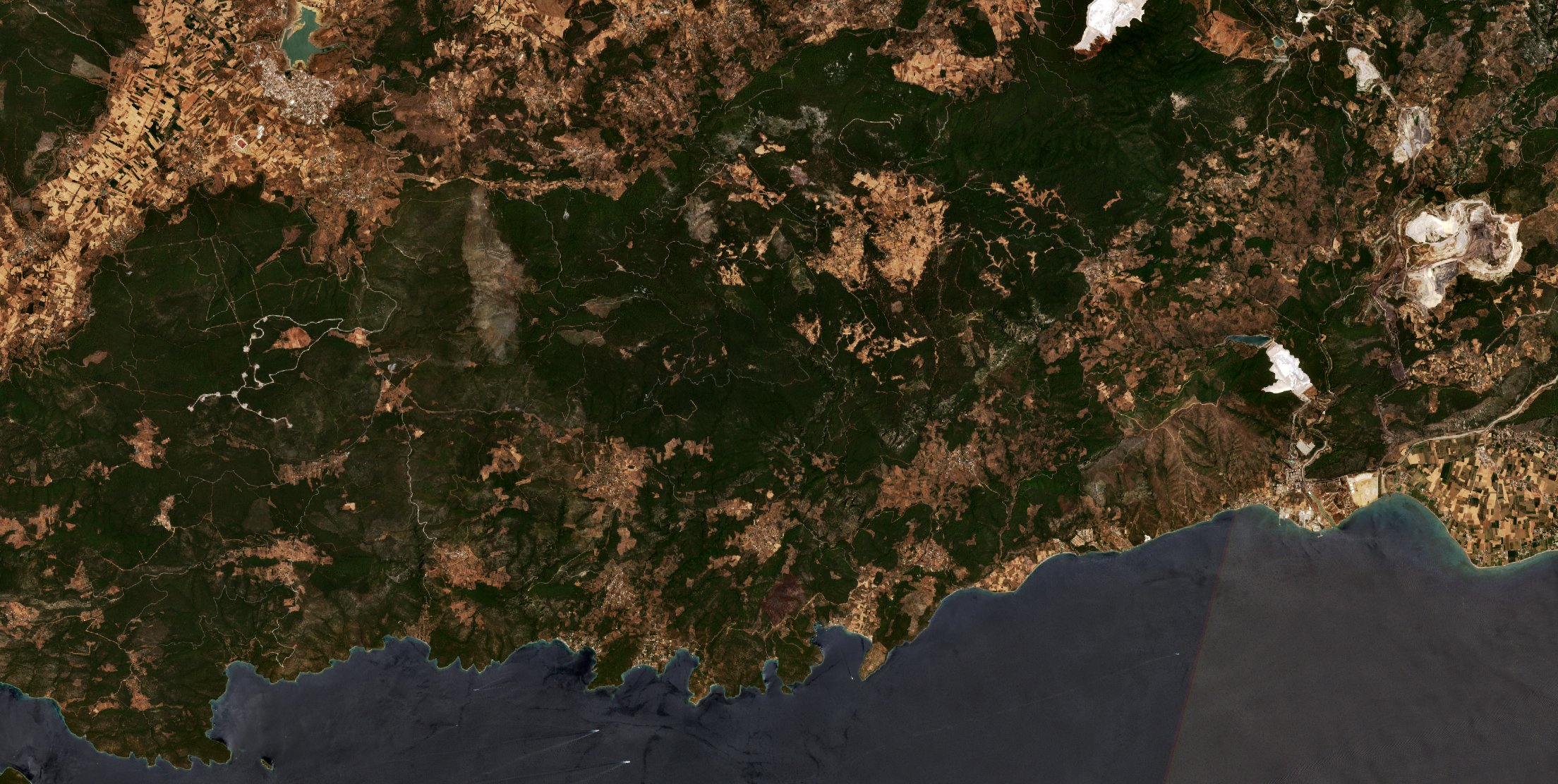 The burned area in 2021-ben