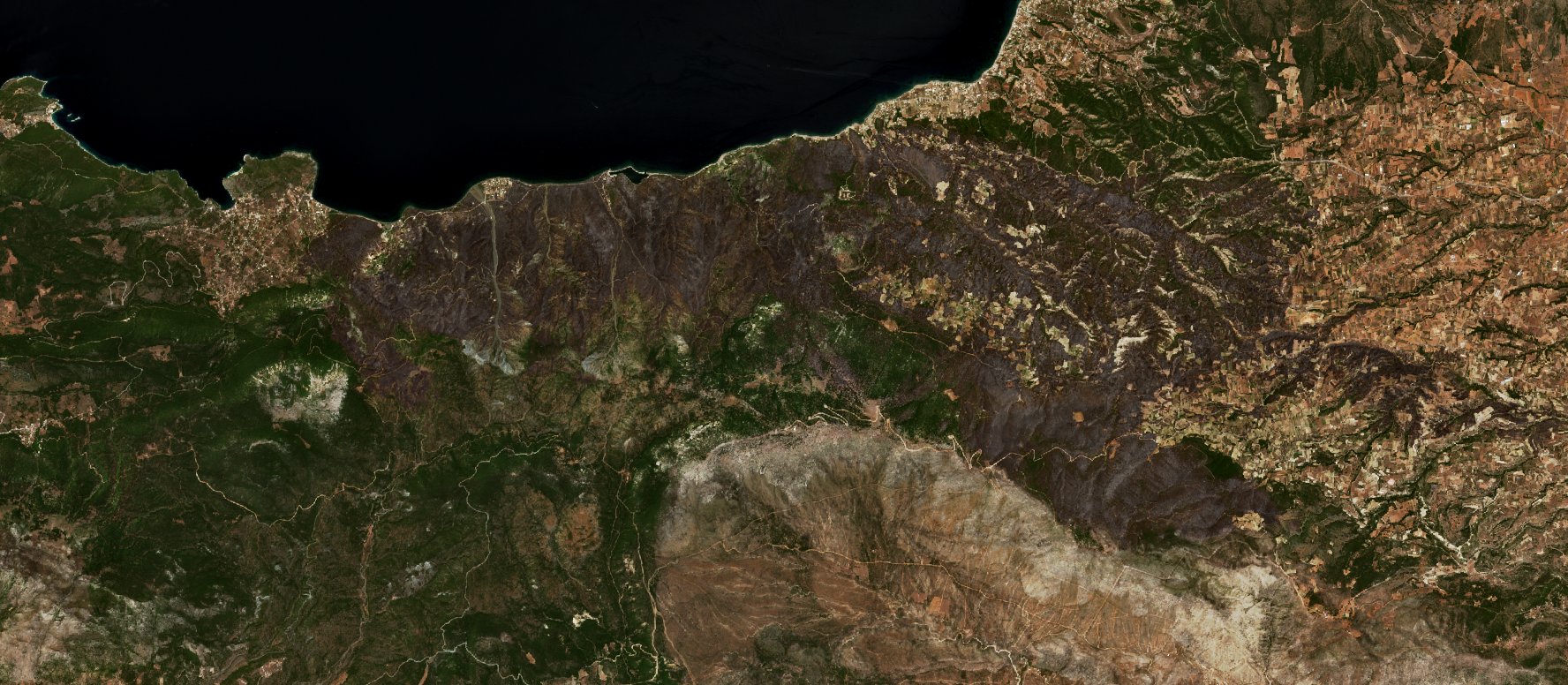 The burned area in 2021-ben