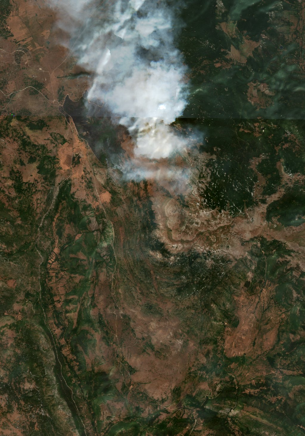 The burned area in 2017-ben