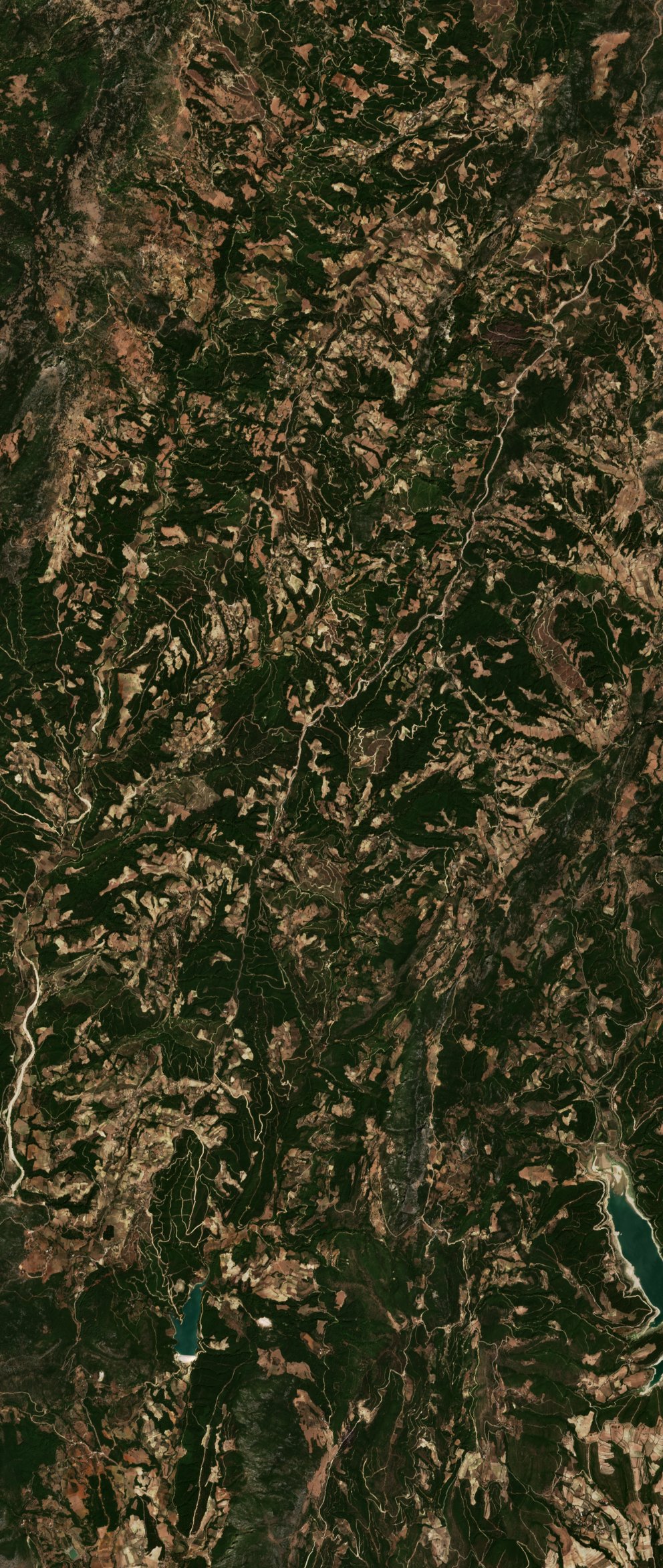 The burned area in 2020-ben