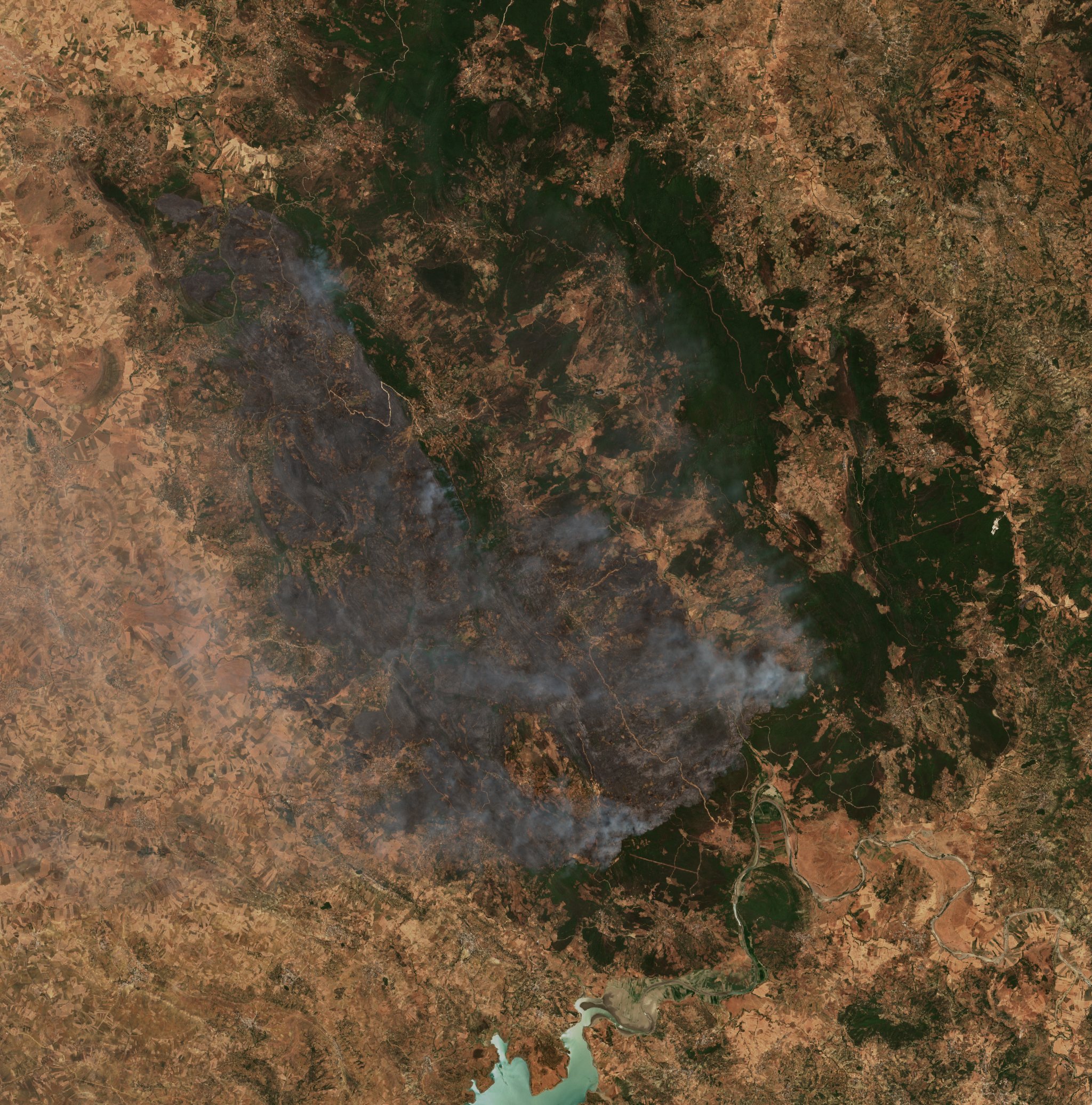 The burned area in 2022-ben