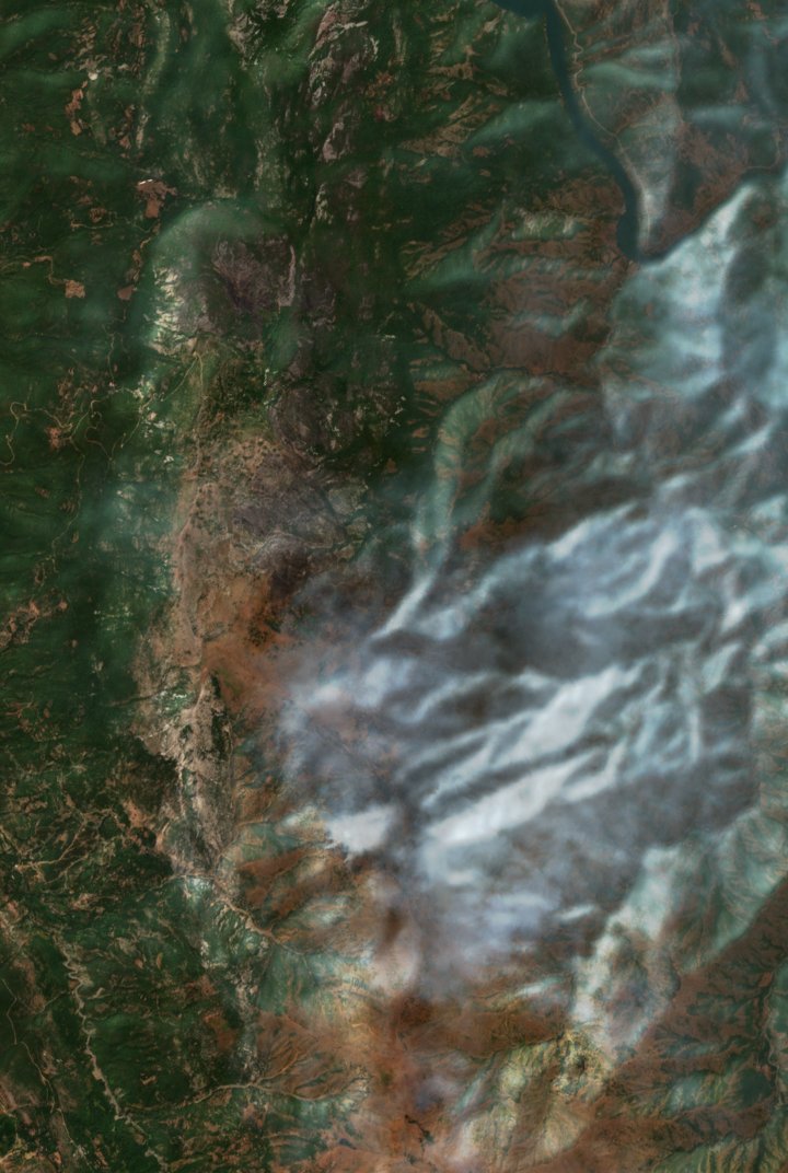The burned area in 2017-ben