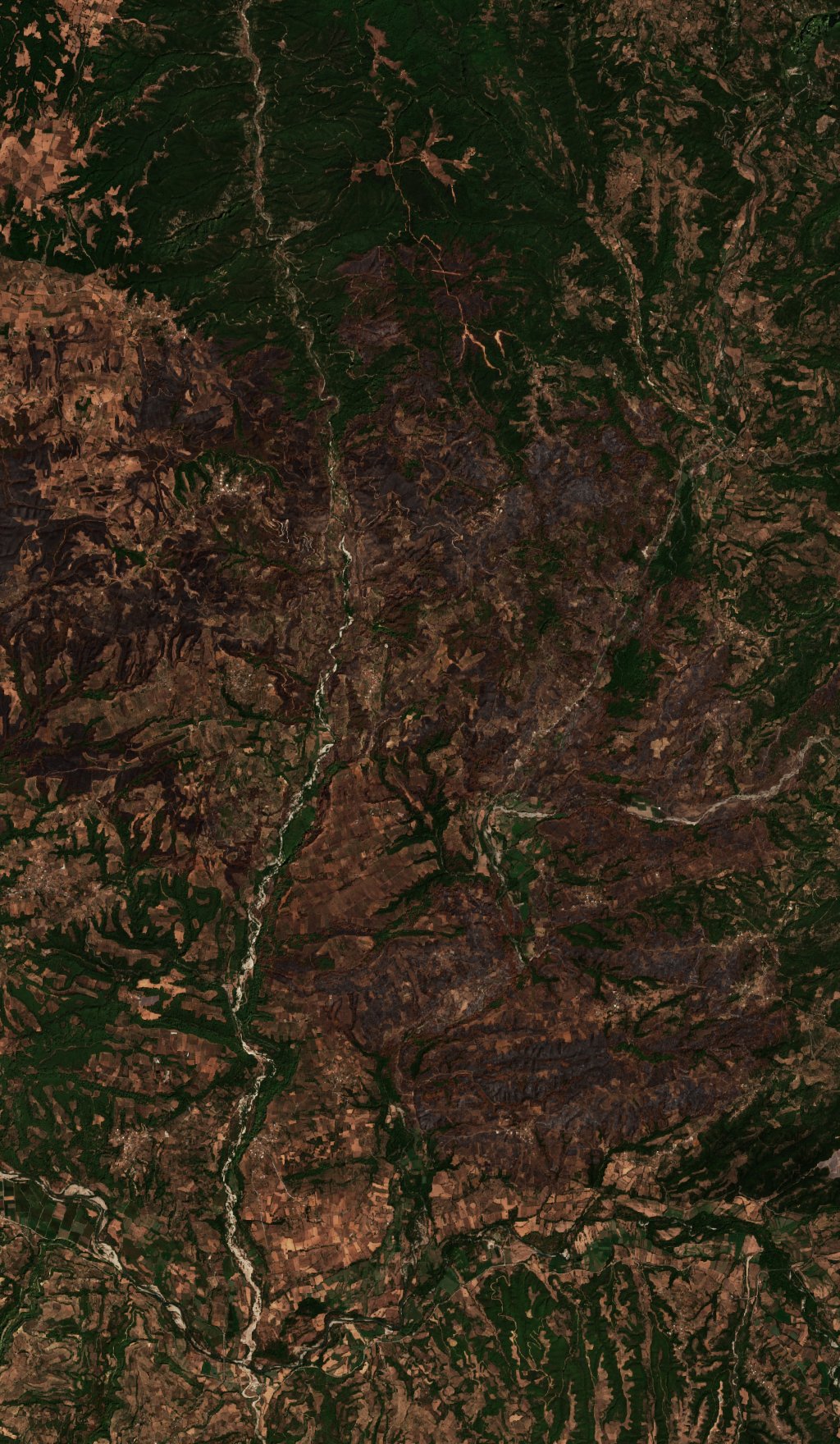 The burned area in 2021-ben