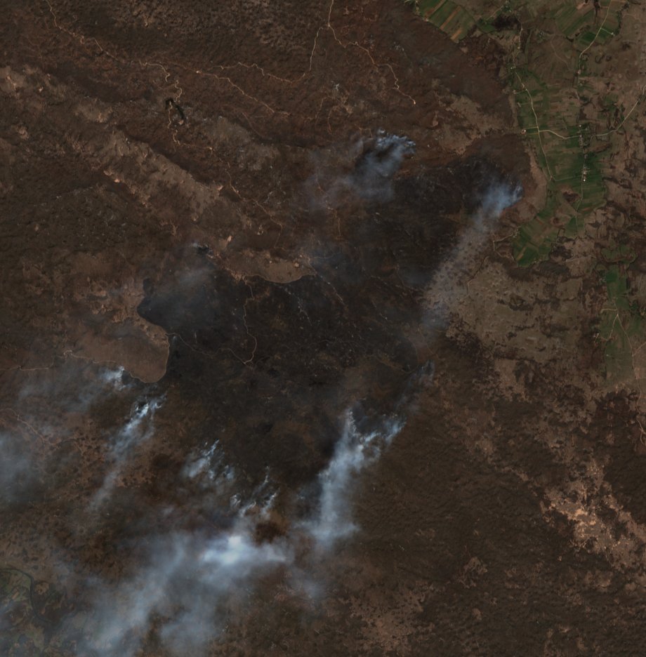 The burned area in 2020-ben