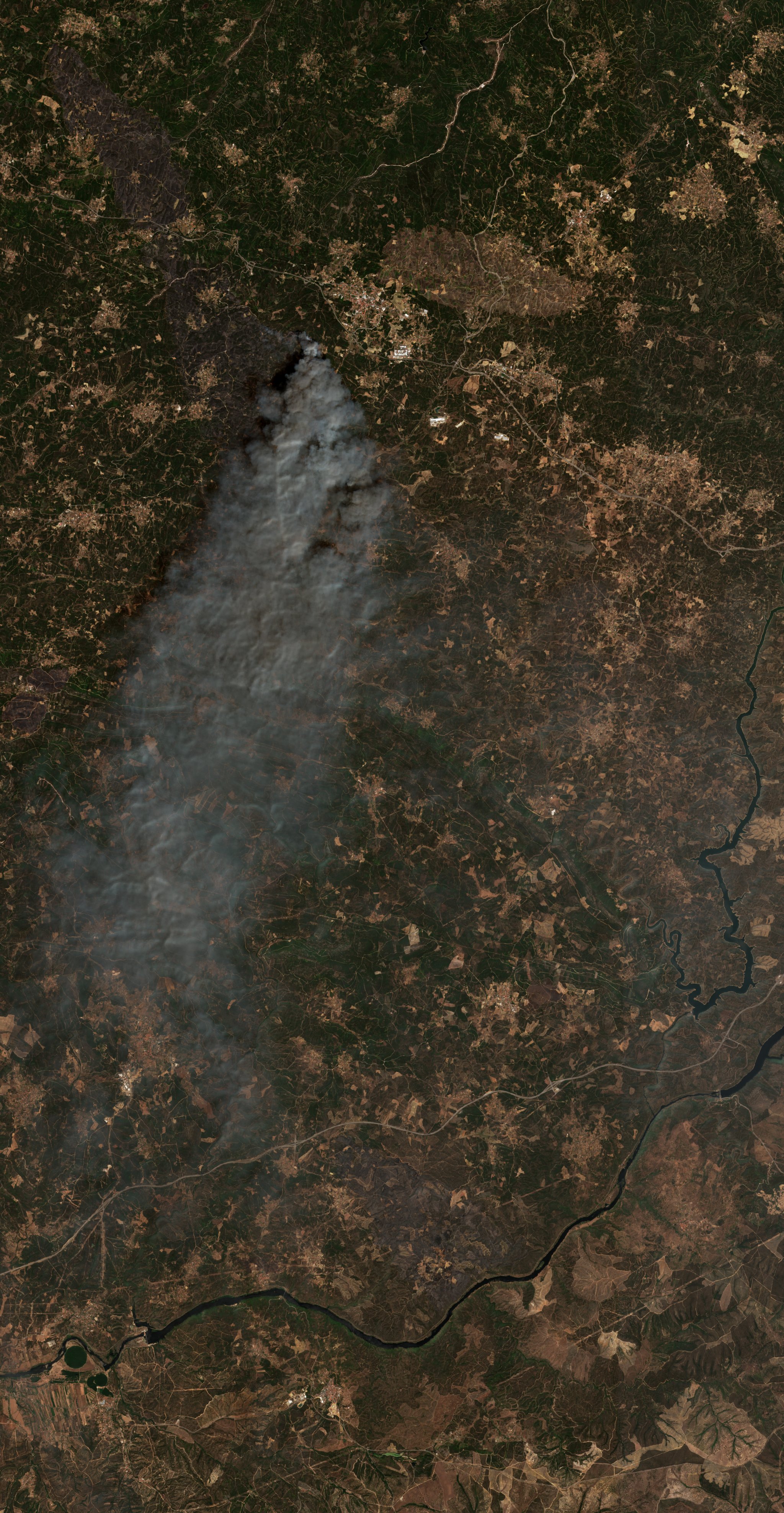 The burned area in 2017-ben