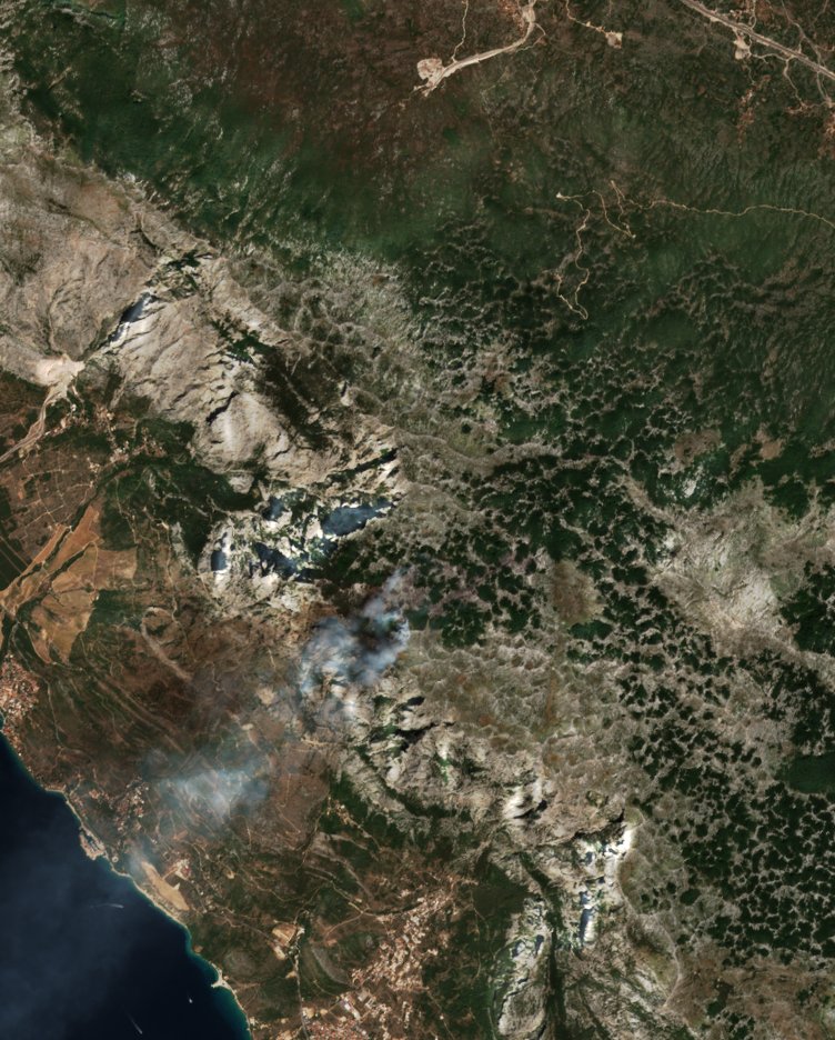 The burned area in 2017-ben