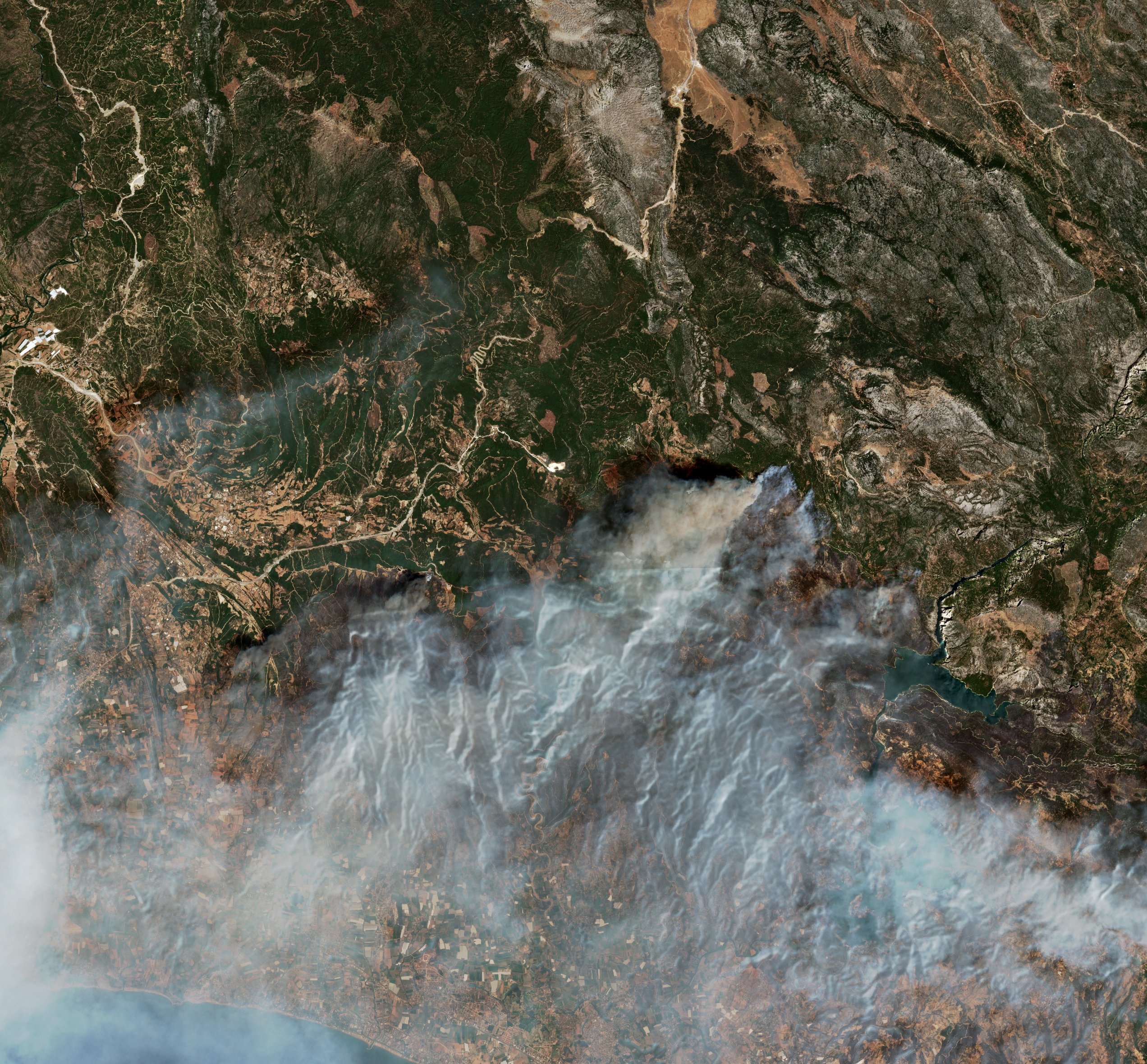 The burned area in 2021-ben