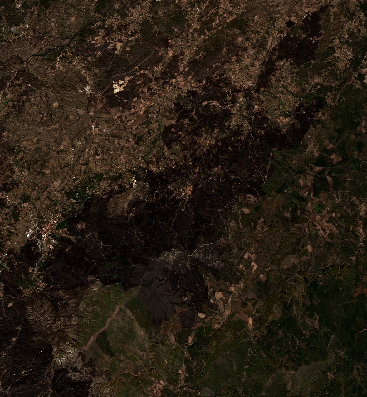 The burned area in 2017-ben