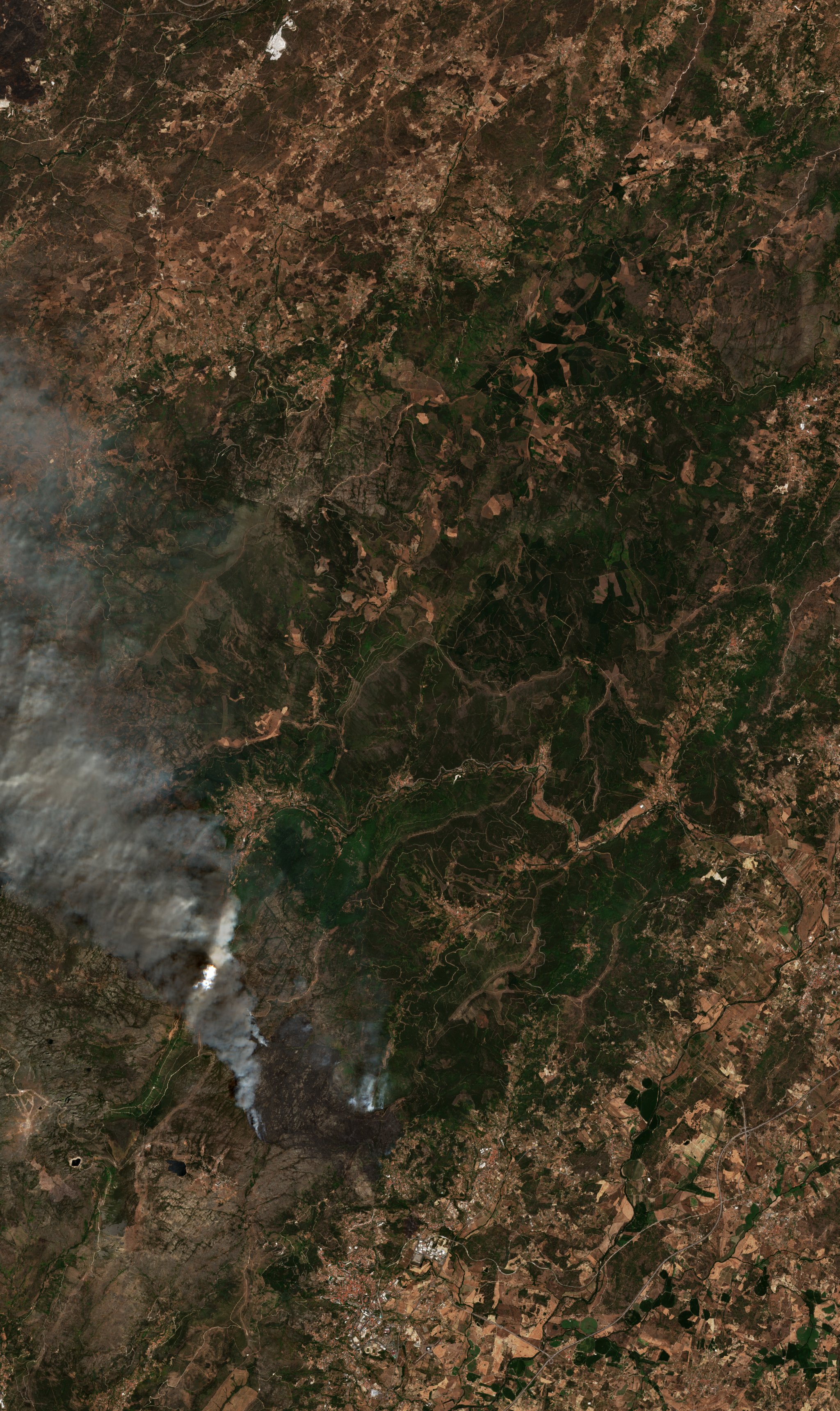 The burned area in 2022-ben