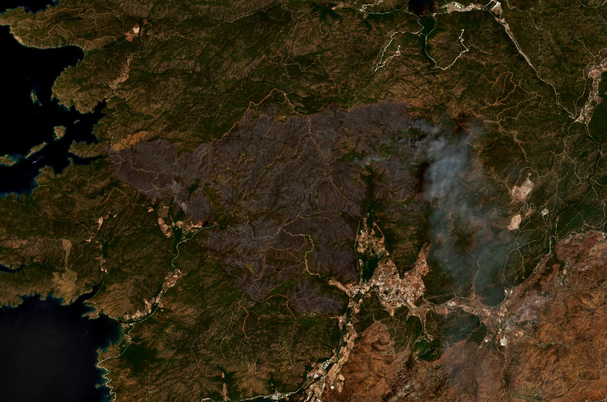 The burned area in 2022-ben