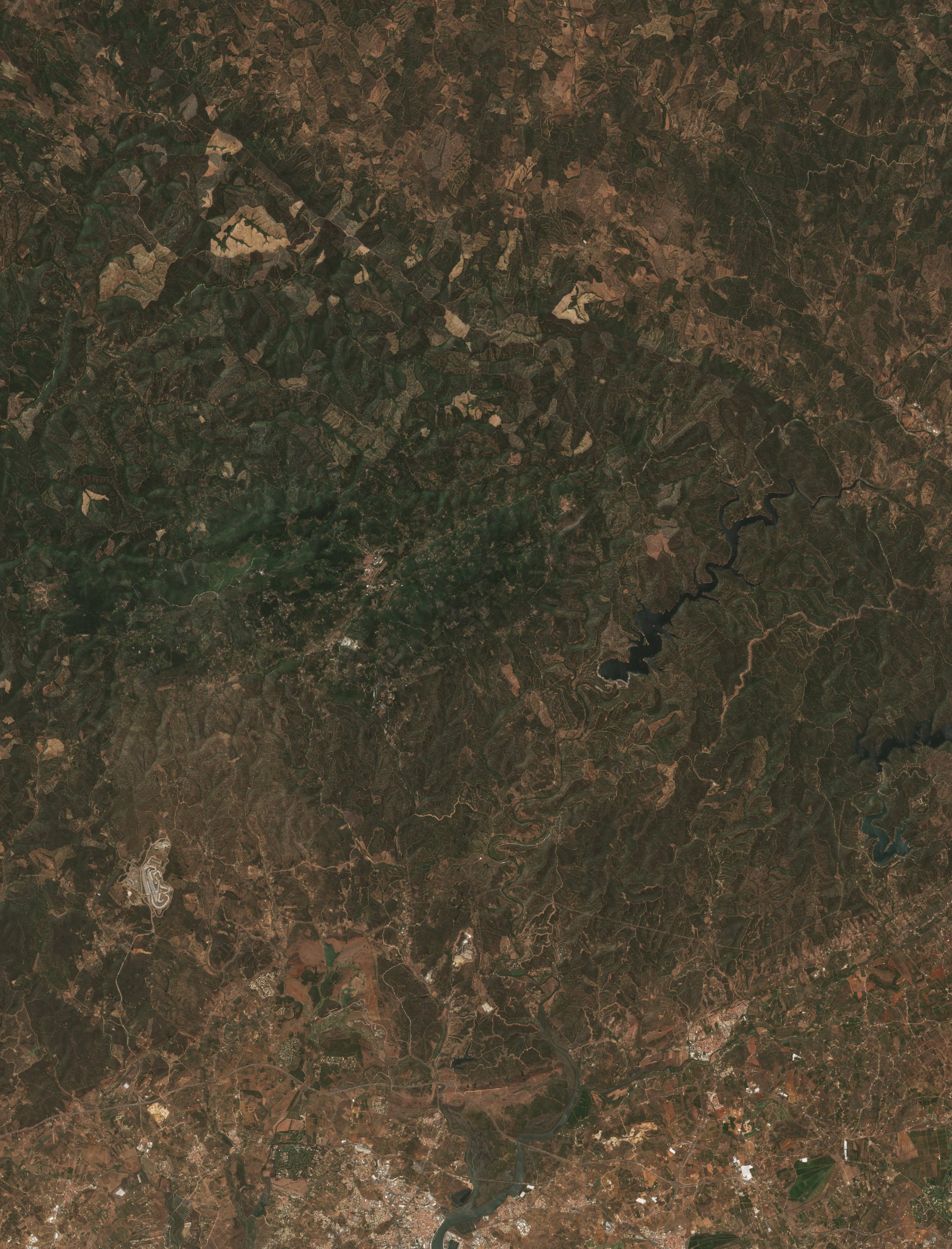 The burned area in 2018-ben