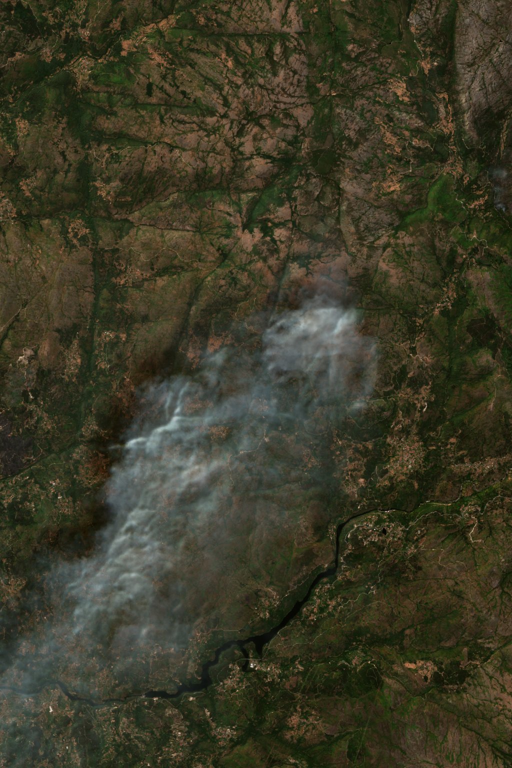 The burned area in 2016-ben