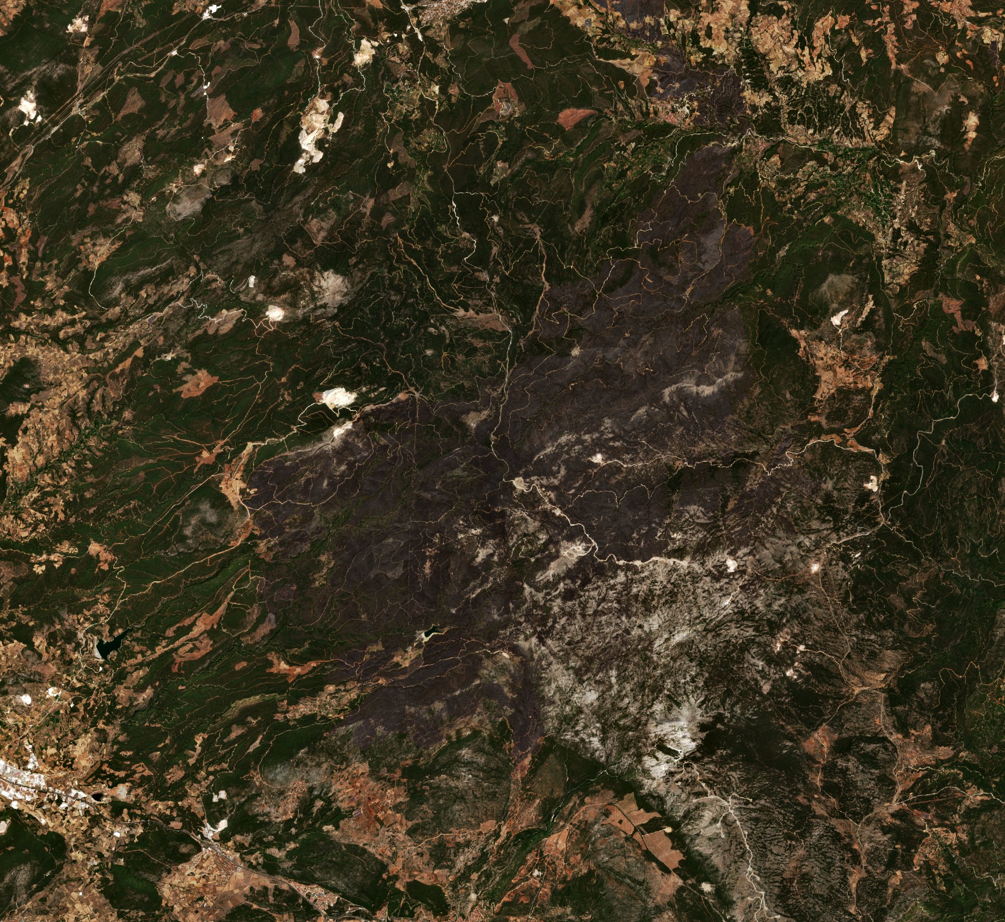 The burned area in 2021-ben