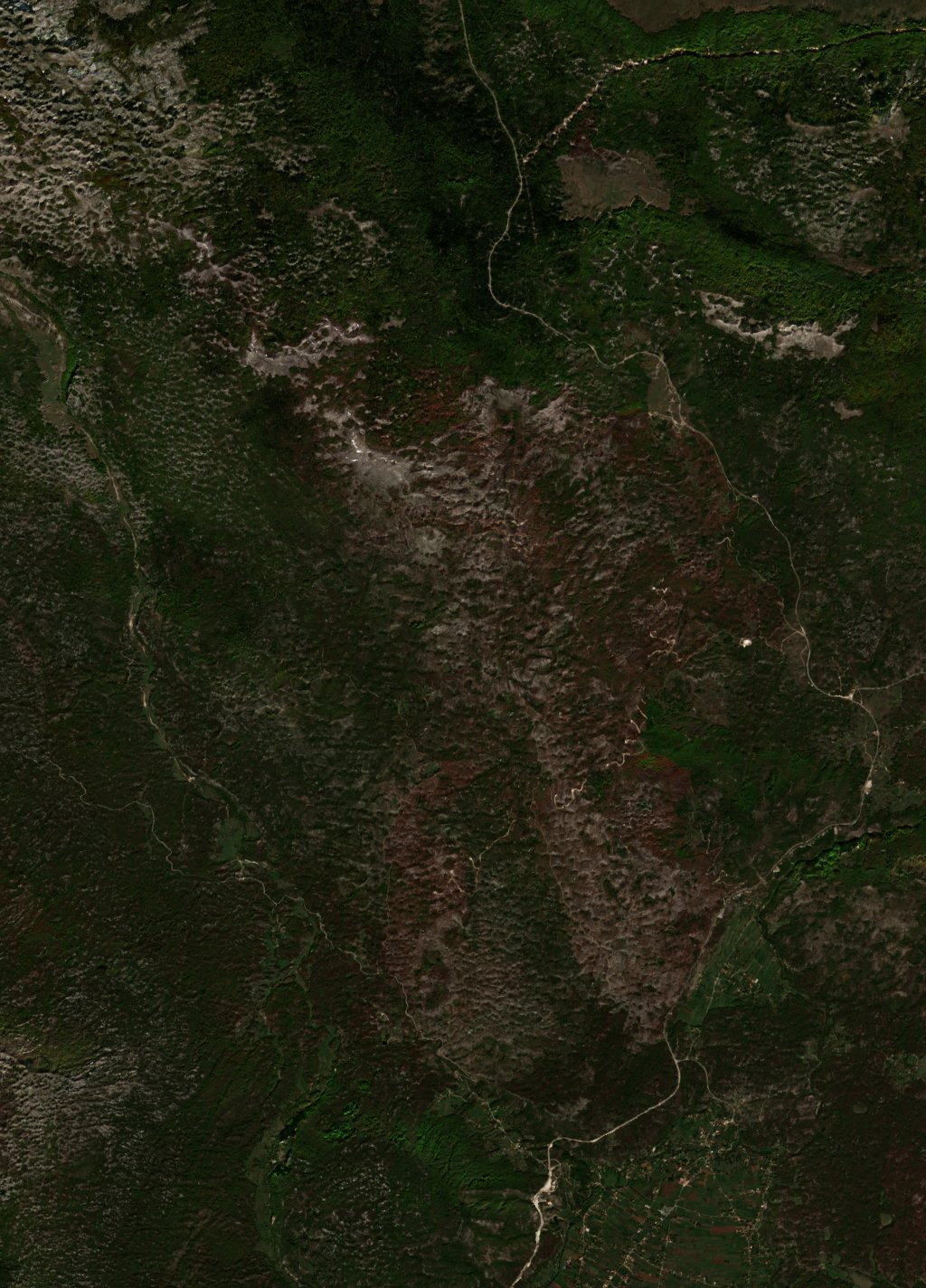The burned area in 2017-ben