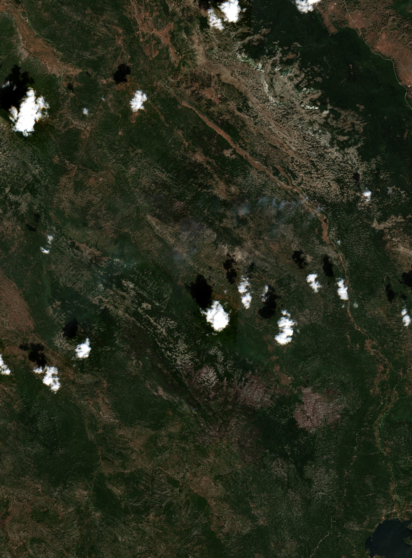 The burned area in 2021-ben