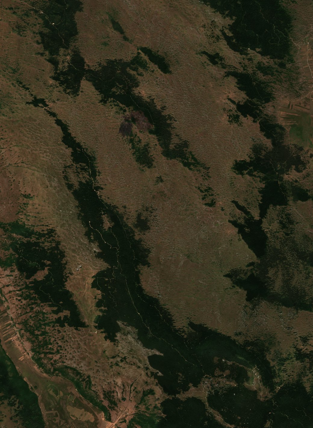 The burned area in 2017-ben