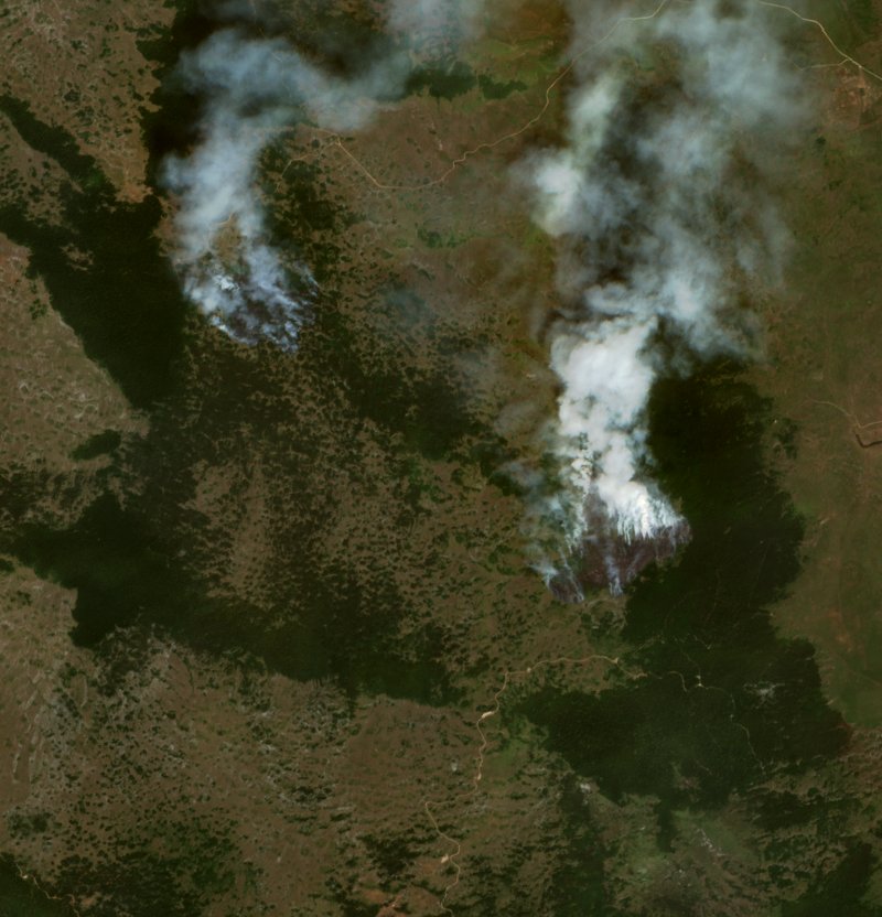 The burned area in 2021-ben