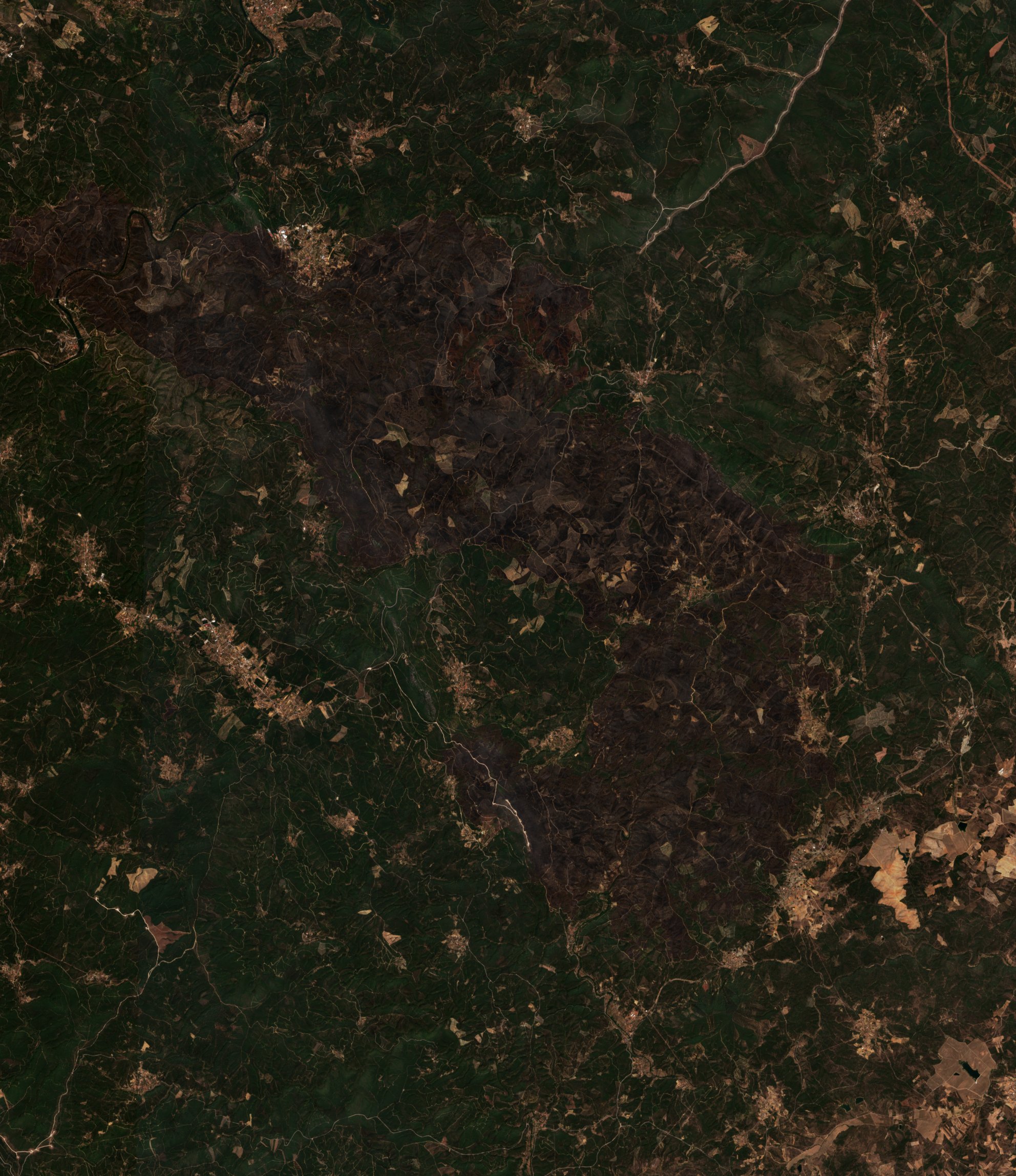 The burned area in 2017-ben