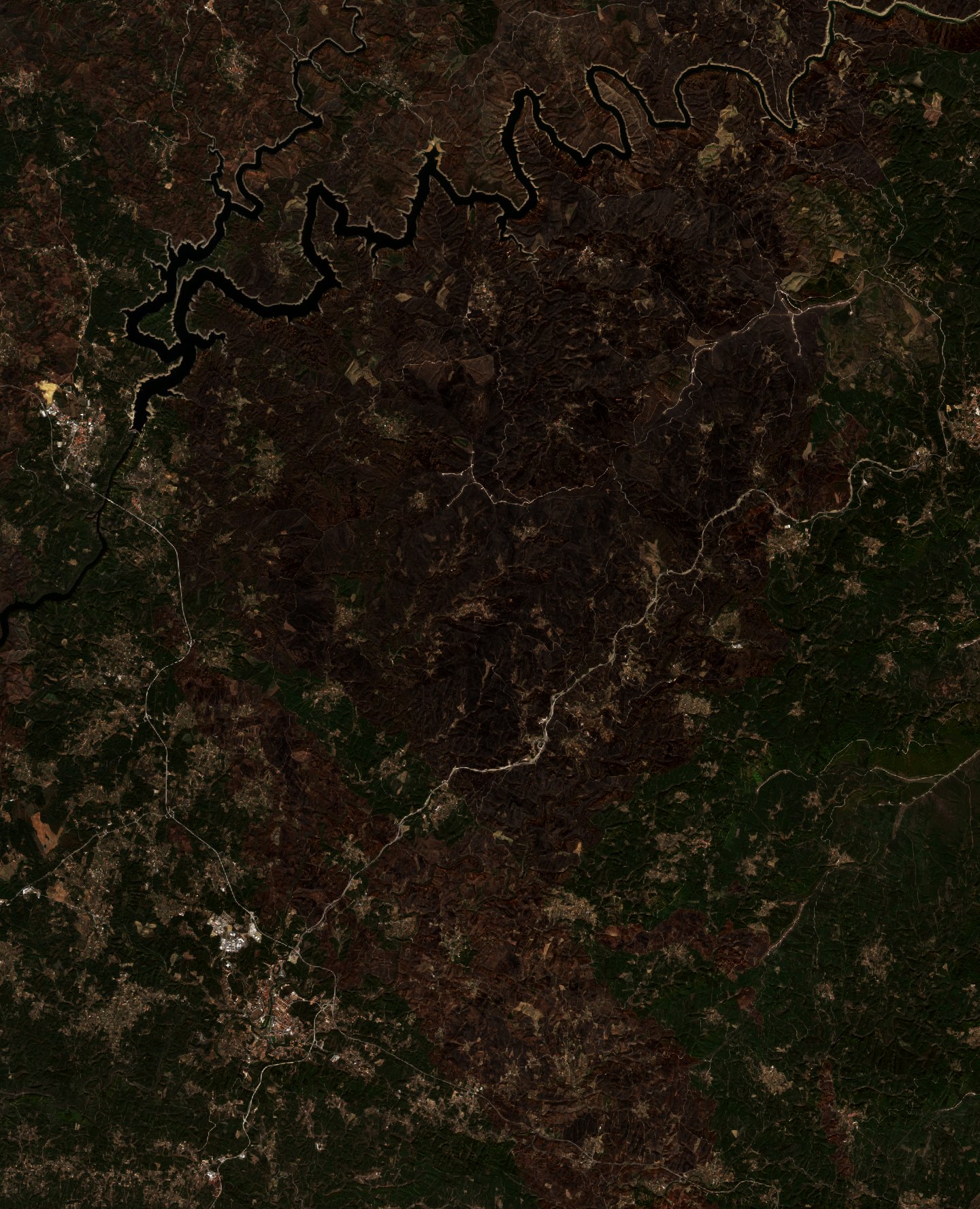The burned area in 2017-ben